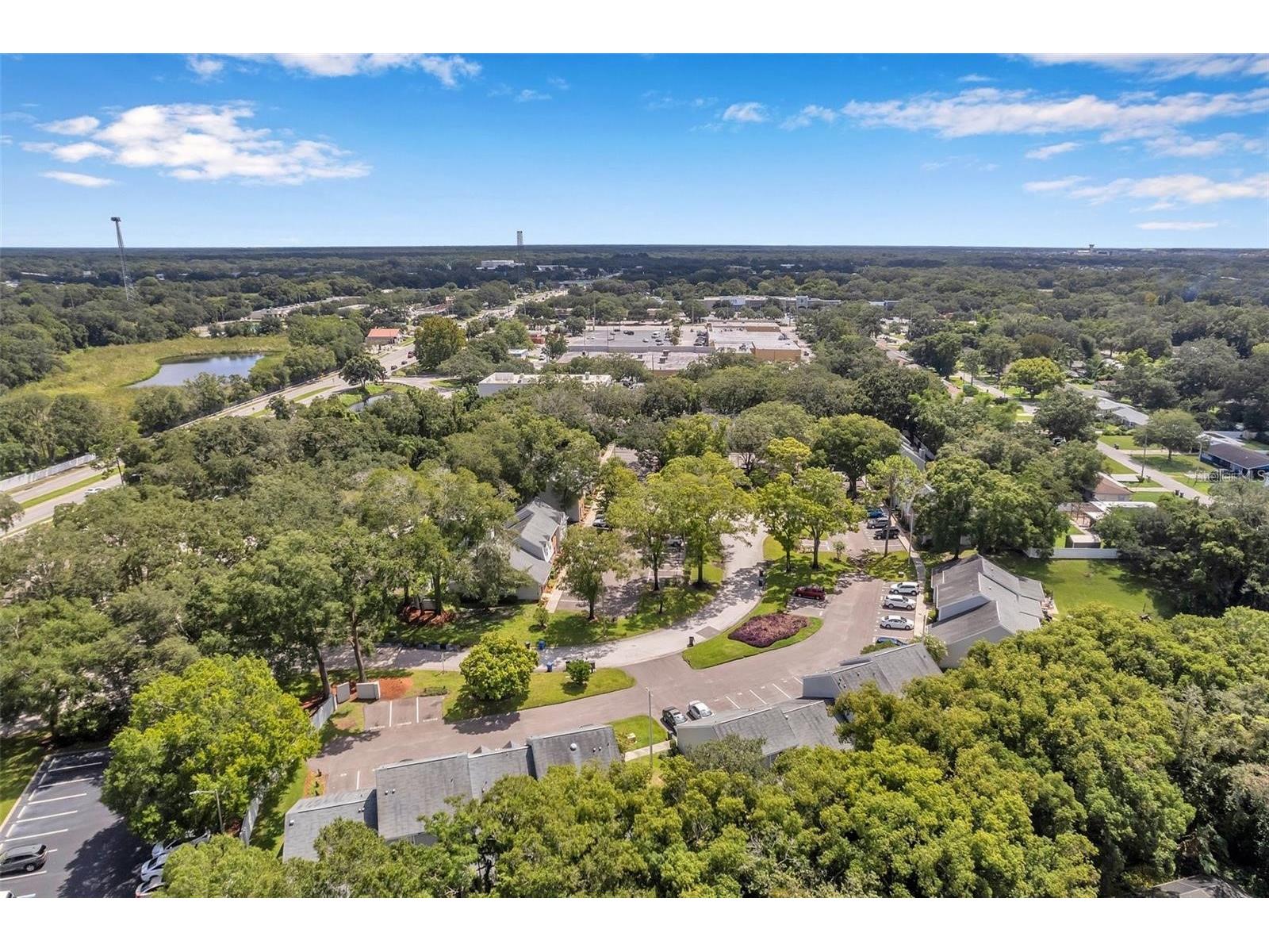 14809 Winding Creek Court Tampa FL 33613 TB8516906 image22