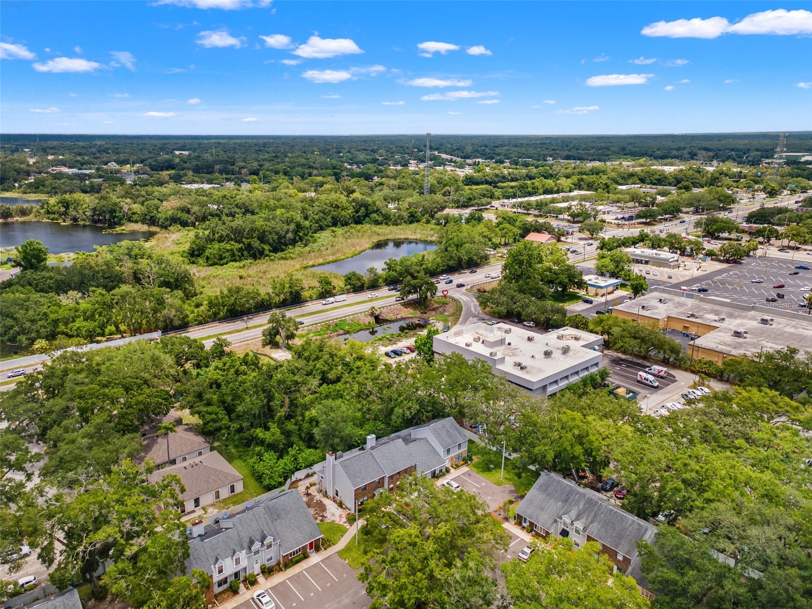 14809 Winding Creek Court Tampa FL 33613 TB8516906 image32