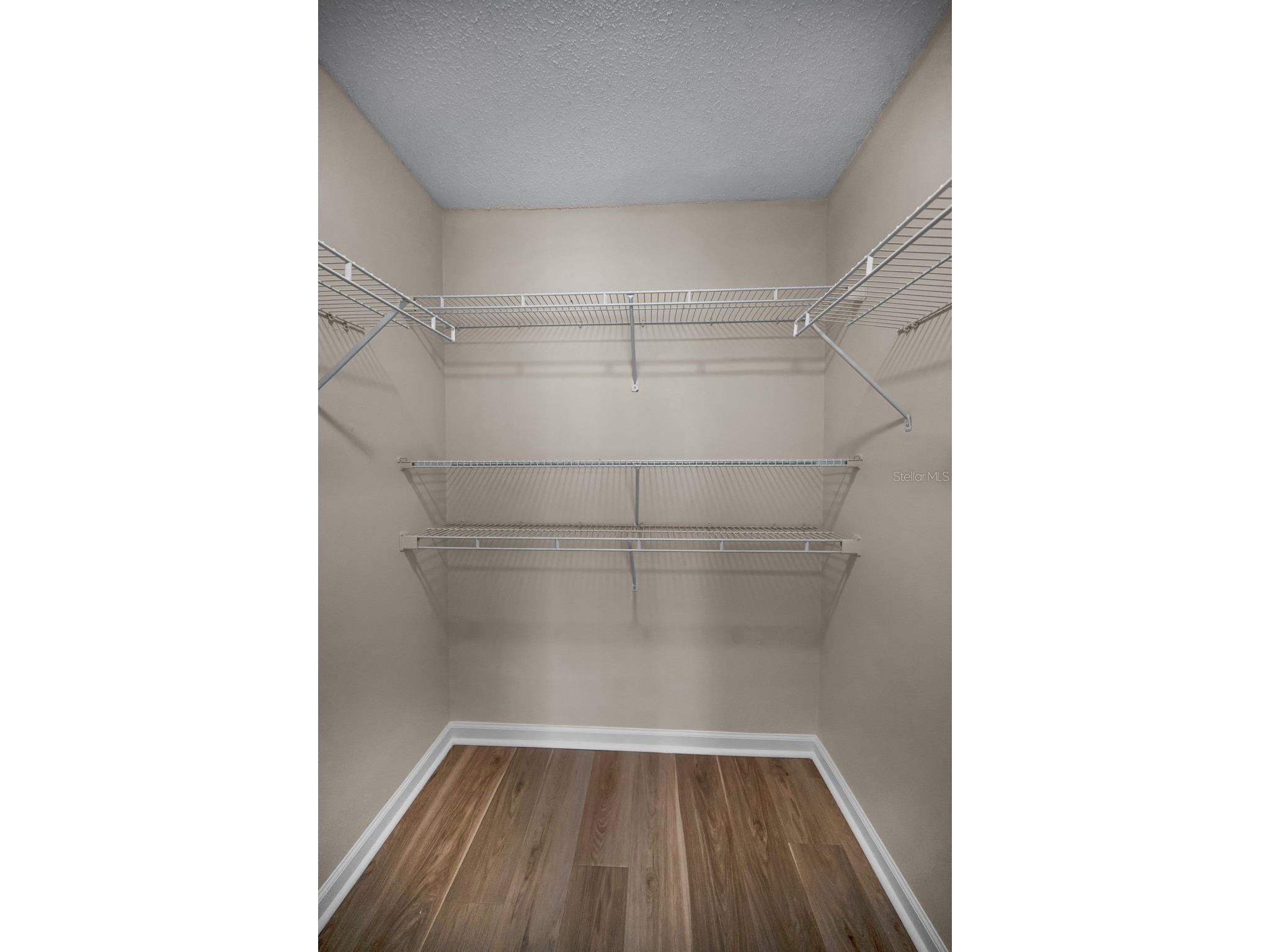 1481 Cairn Court Palm Harbor FL 34683 TB8523333 image29