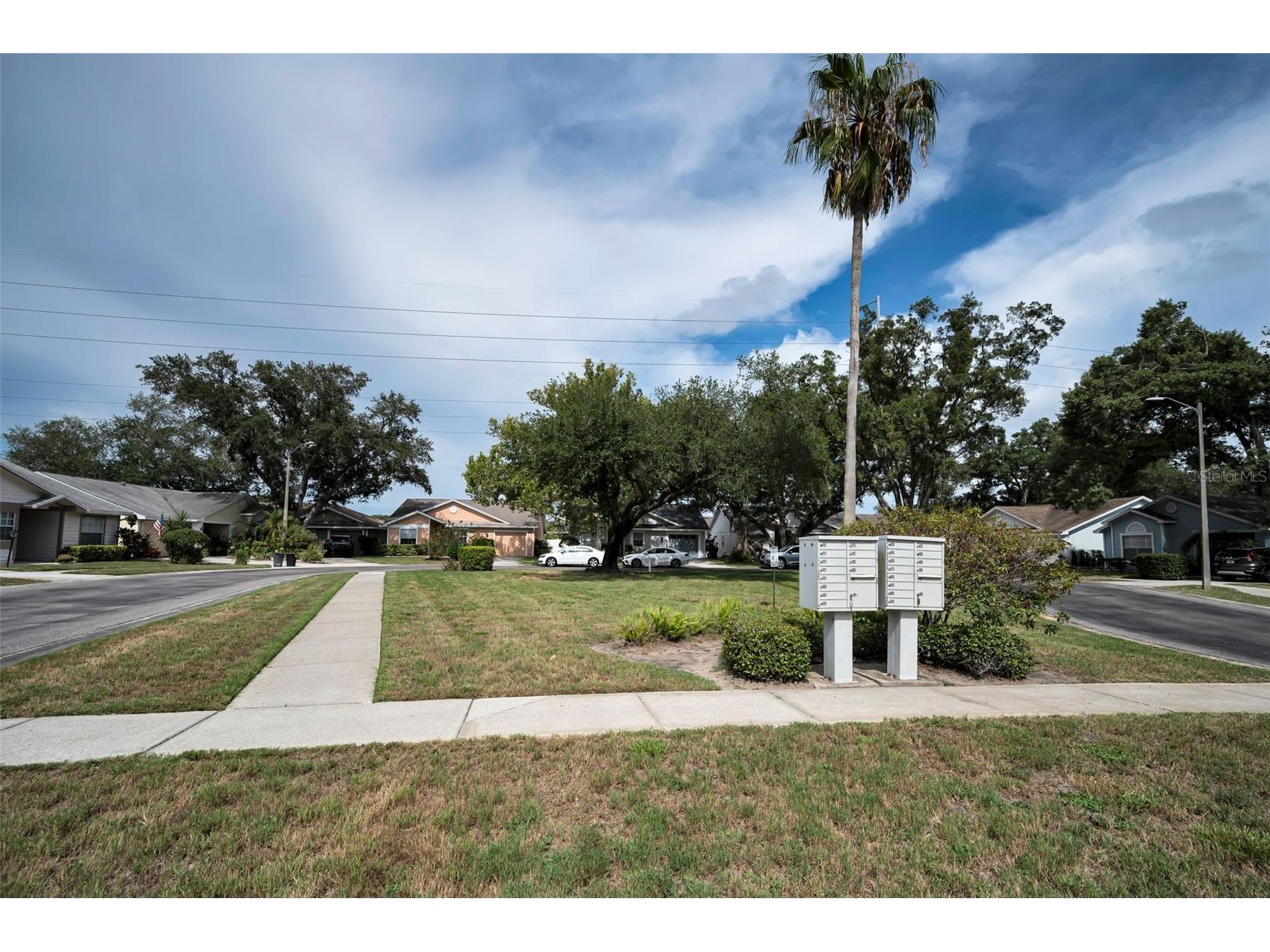 1481 Cairn Court Palm Harbor FL 34683 TB8523333 image37