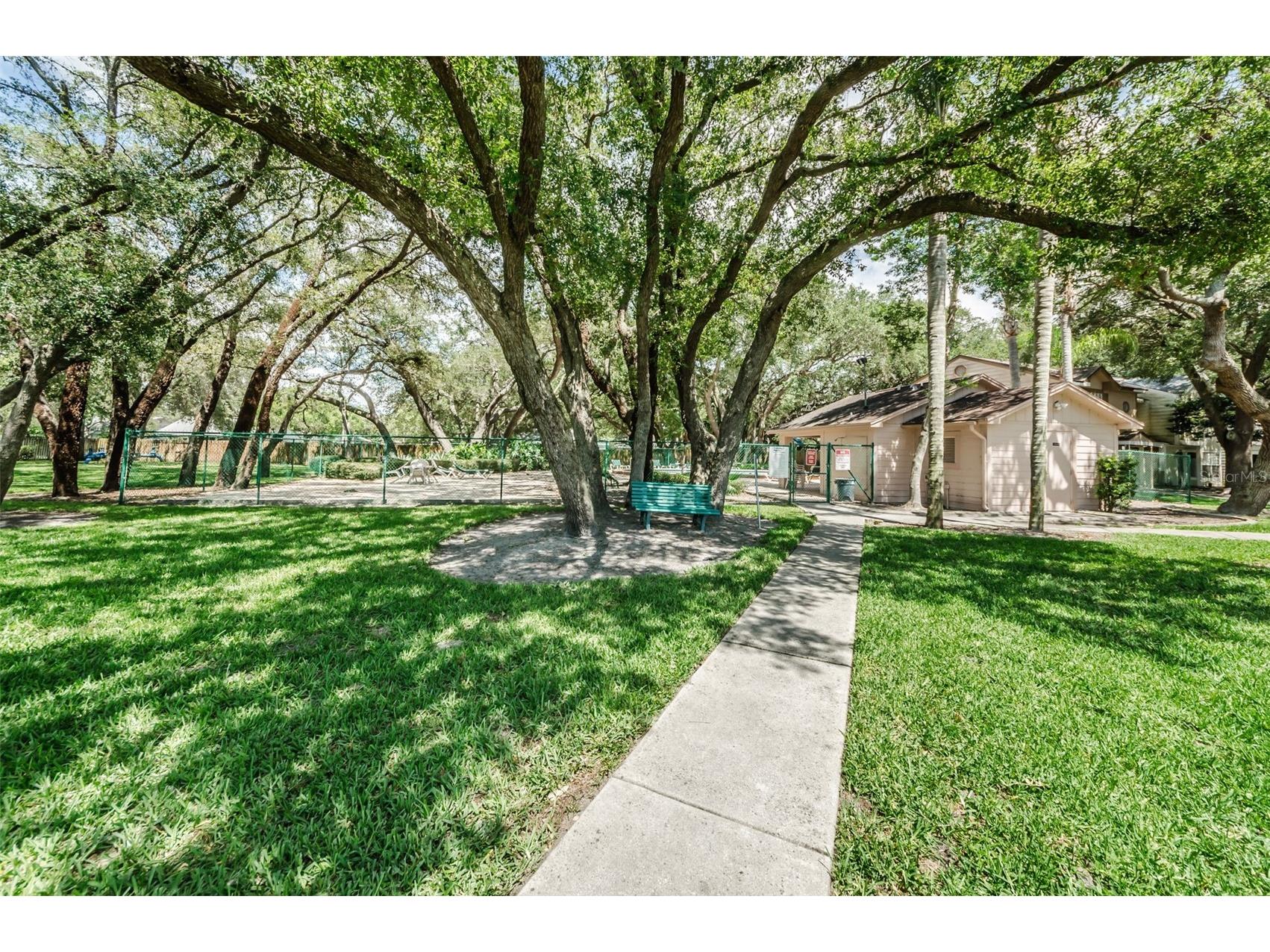 1481 Cairn Court Palm Harbor FL 34683 TB8523333 image39
