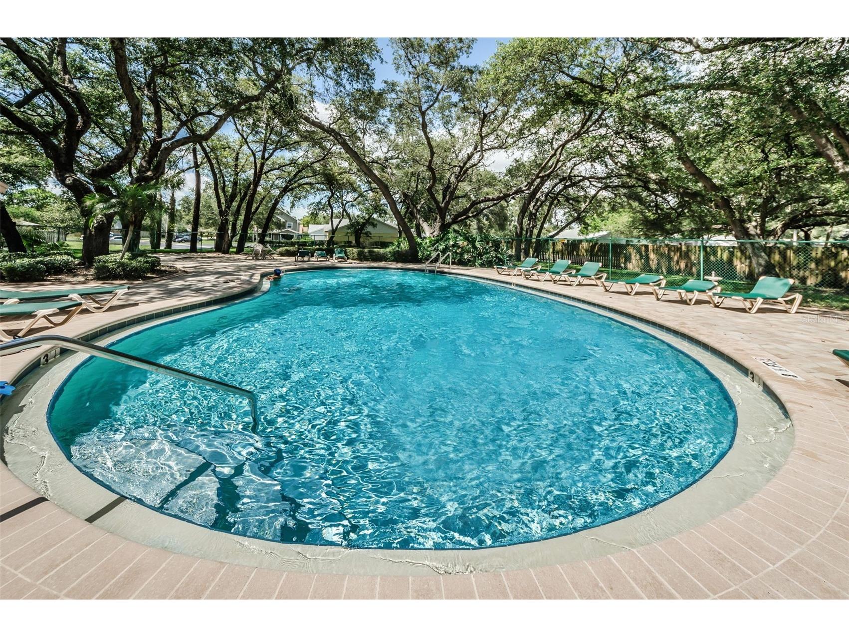 1481 Cairn Court Palm Harbor FL 34683 TB8523333 image42