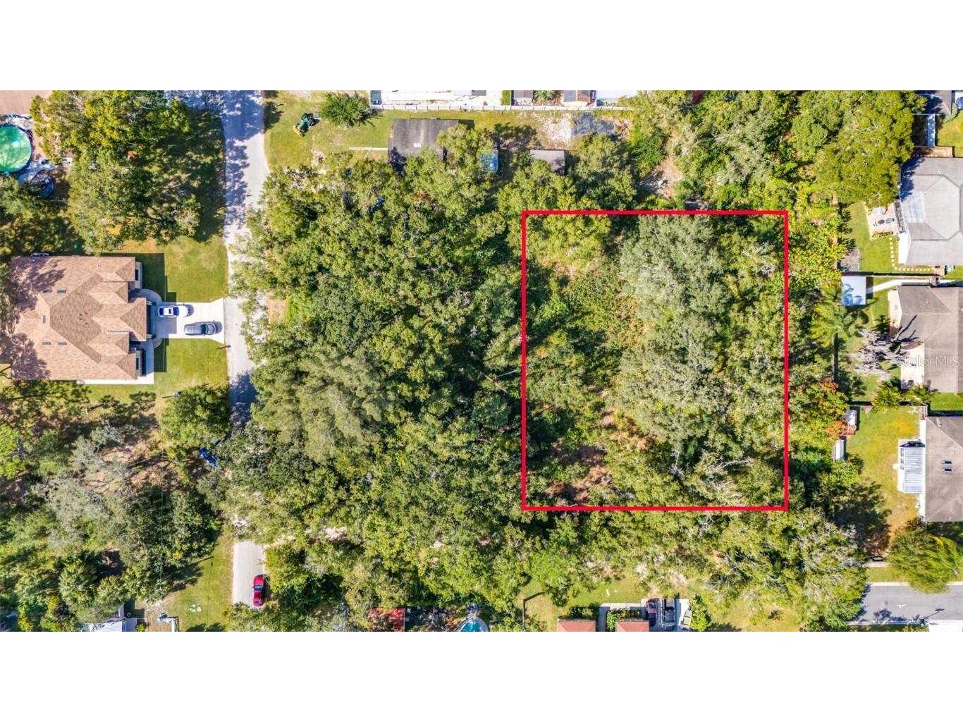 14810 Barby Avenue Tampa FL 33625 T3484241 image1