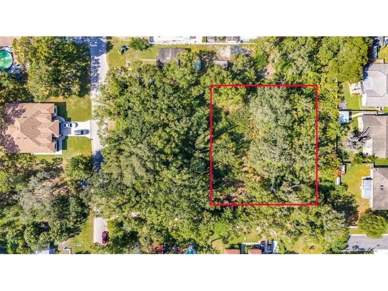 14810 Barby Avenue Tampa FL 33625 TB8317256 image1