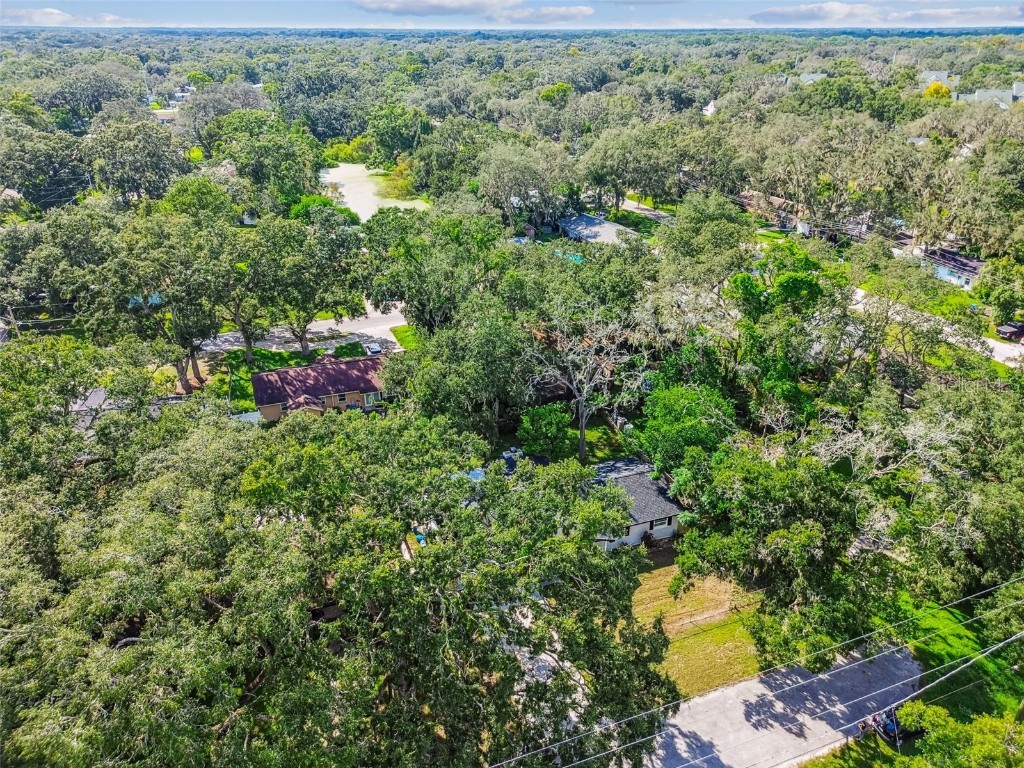 14810 N 30th Street Lutz FL 33559 TB8427172 image60