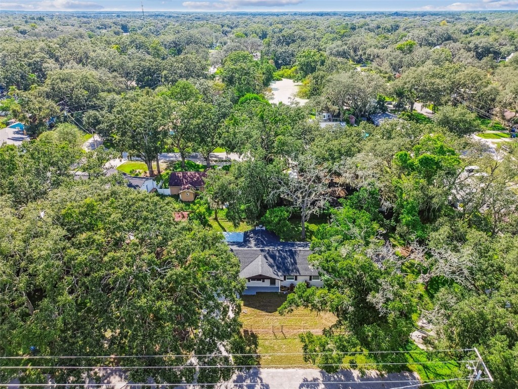 14810 N 30th Street Lutz FL 33559 TB8427172 image61