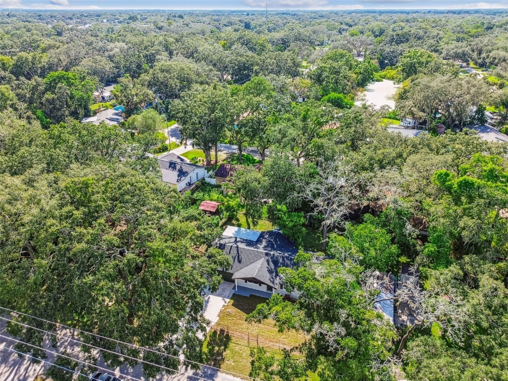 14810 N 30th Street Lutz FL 33559 TB8427172 image62