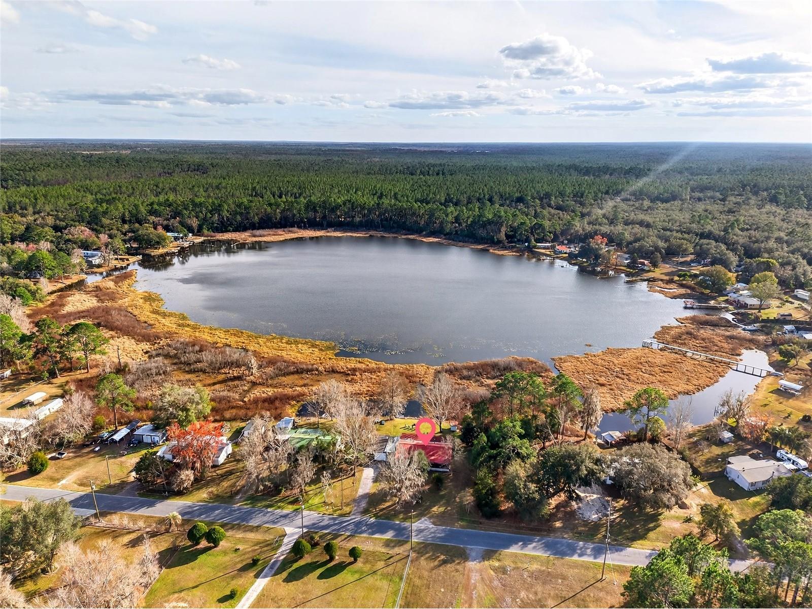 14810 NE 86th Lane Silver Springs FL 34488 - LAKE LYNNE OM716905 image4