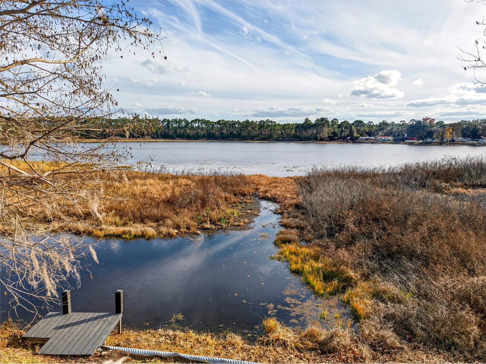 14810 NE 86th Lane Silver Springs FL 34488 - LAKE LYNNE OM716905 image5