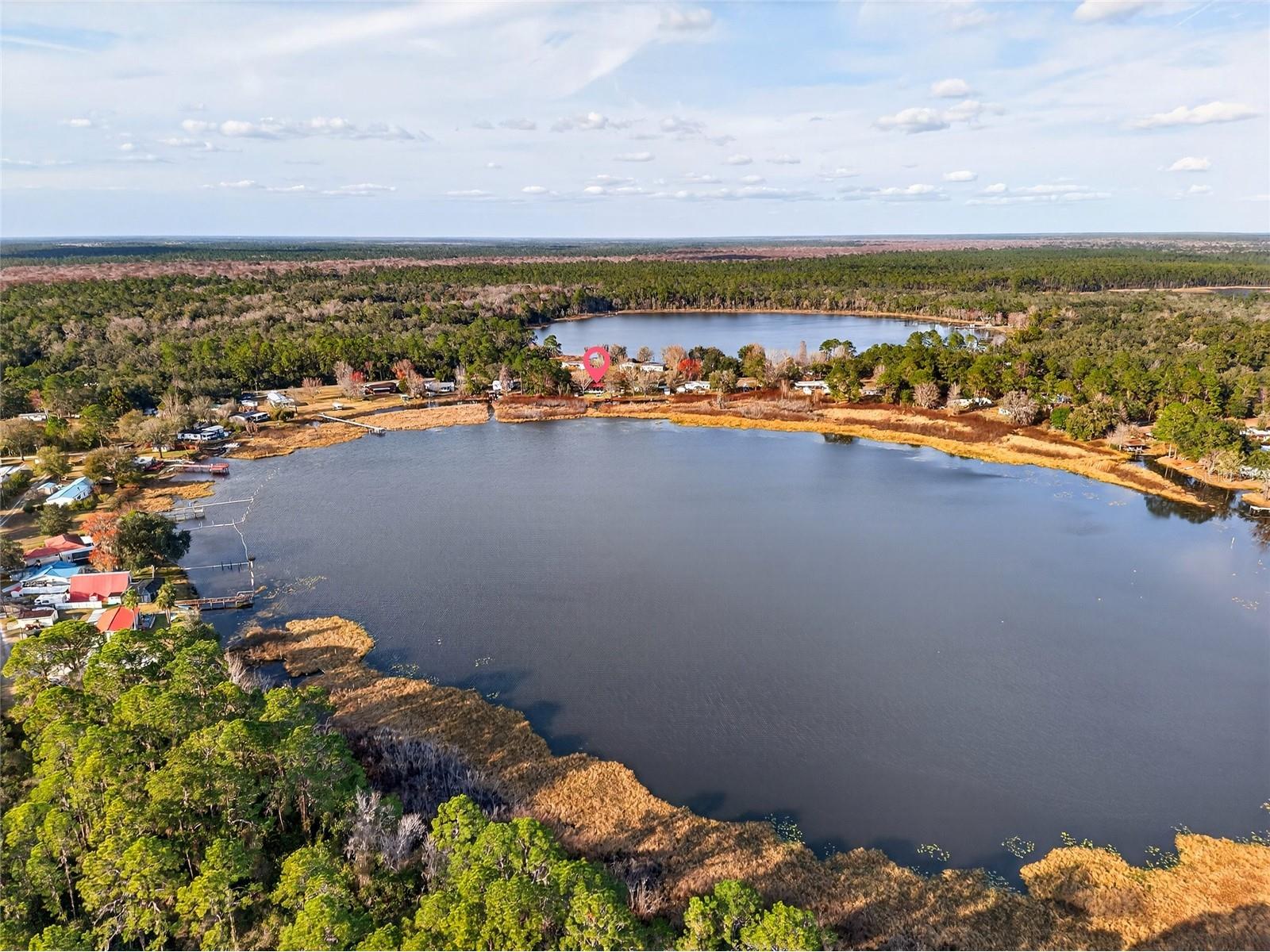 14810 NE 86th Lane Silver Springs FL 34488 - LAKE LYNNE OM716905 image59