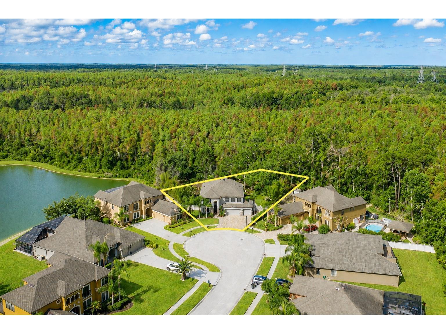 14810 Ninebark Court Land O Lakes FL 34638 W7885967 image2