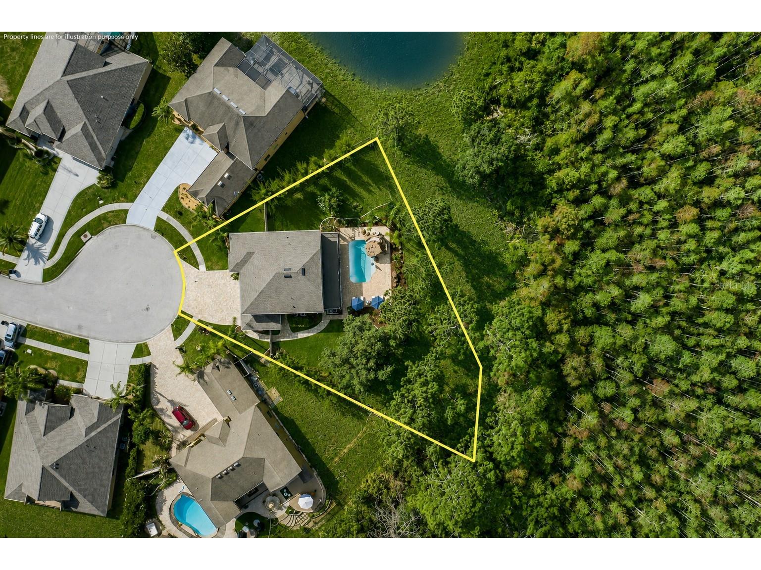 14810 Ninebark Court Land O Lakes FL 34638 W7885967 image3