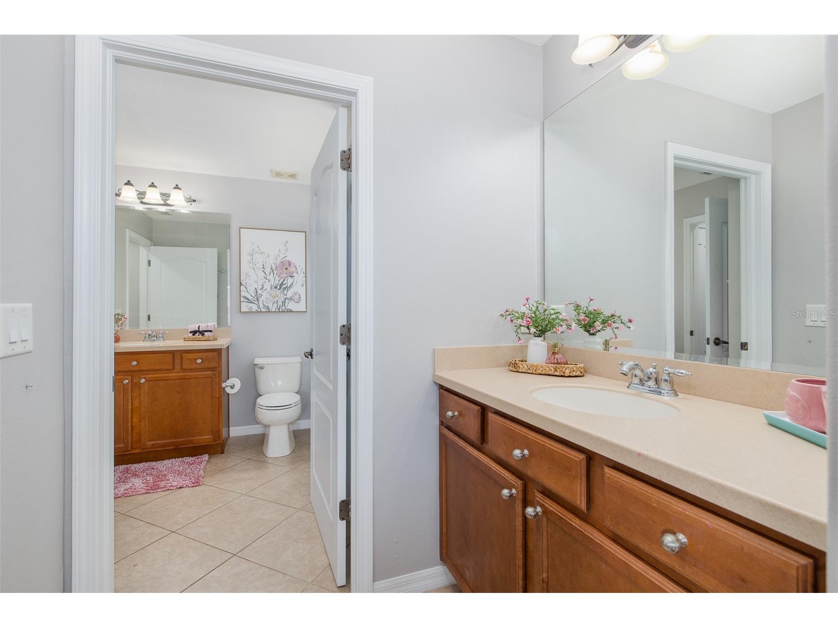 14810 Ninebark Court Land O Lakes FL 34638 W7885967 image32