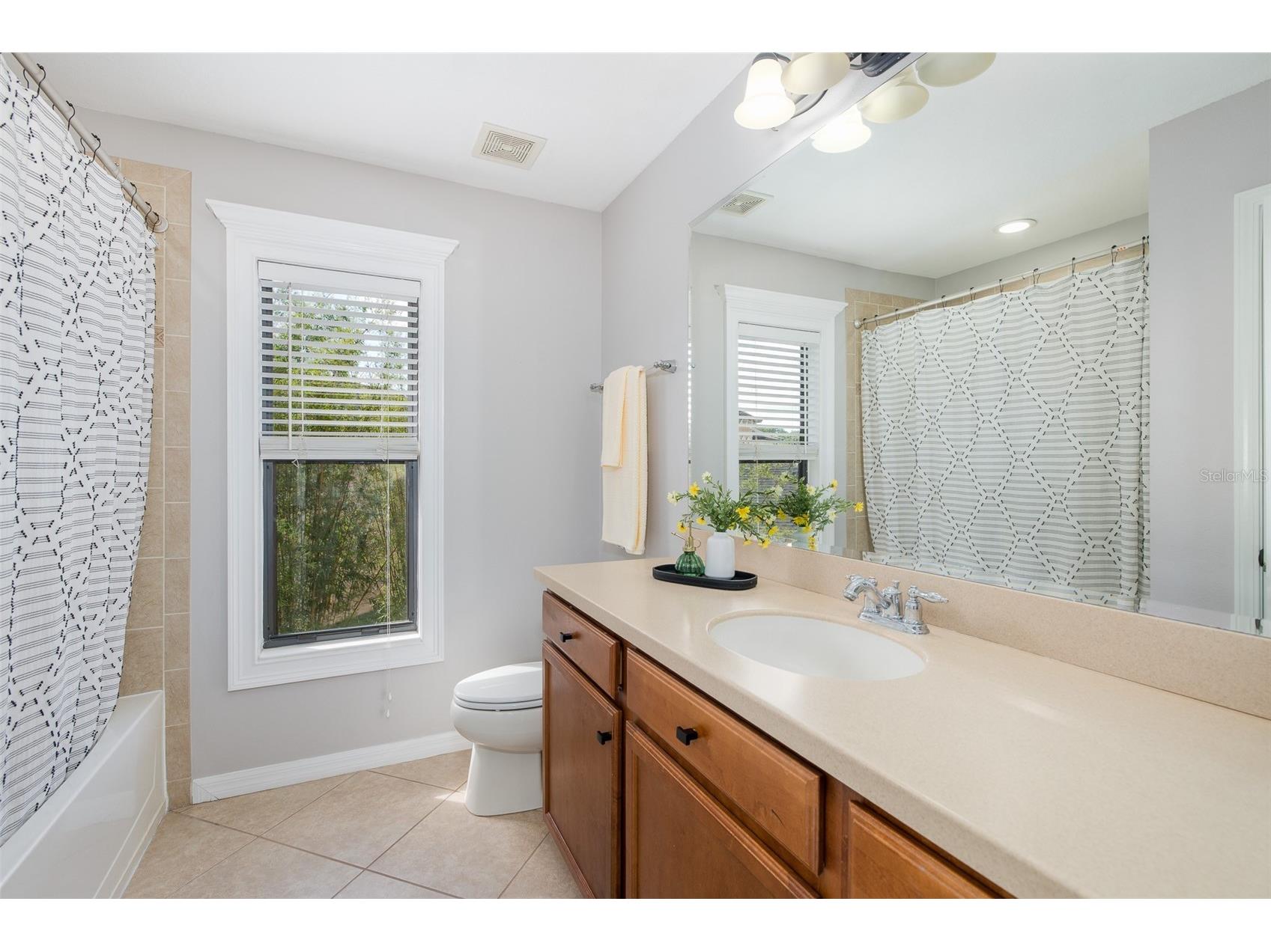 14810 Ninebark Court Land O Lakes FL 34638 W7885967 image36