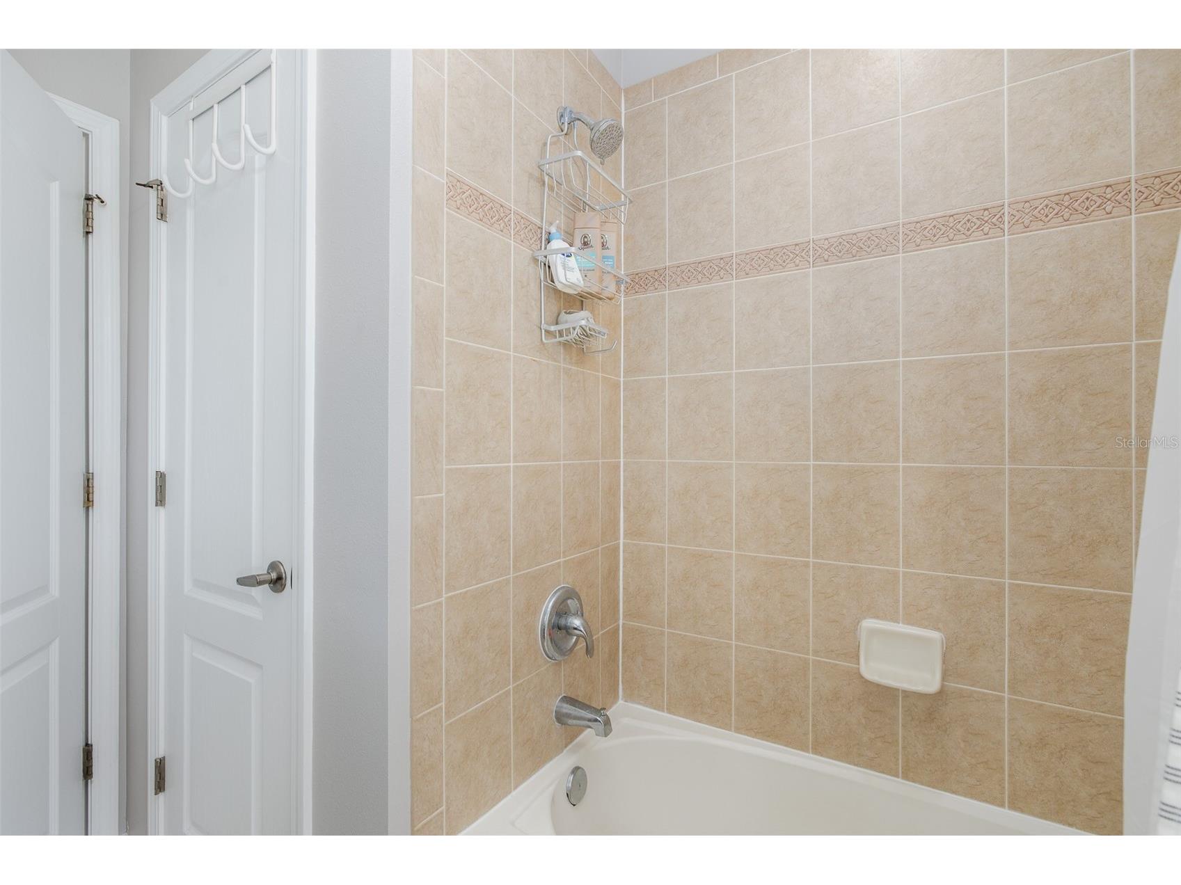 14810 Ninebark Court Land O Lakes FL 34638 W7885967 image37