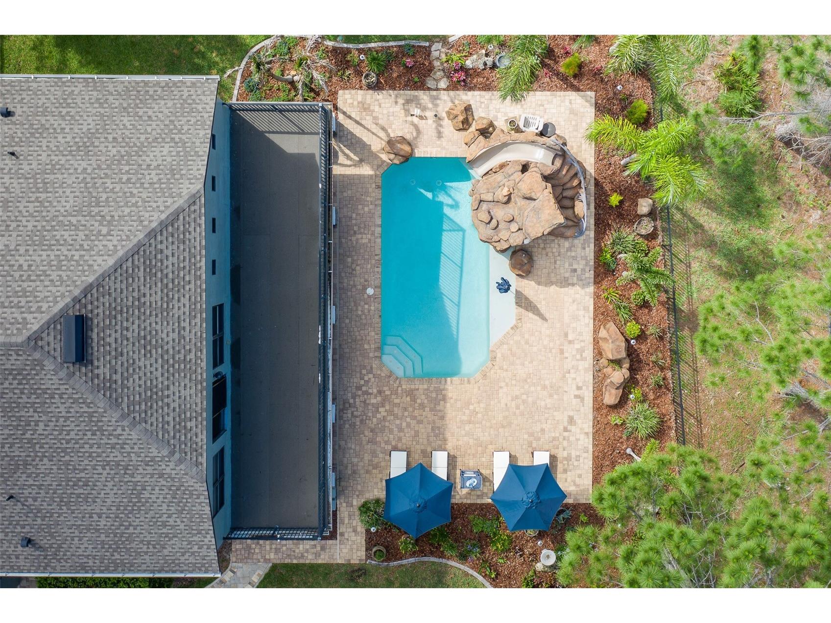 14810 Ninebark Court Land O Lakes FL 34638 W7885967 image4