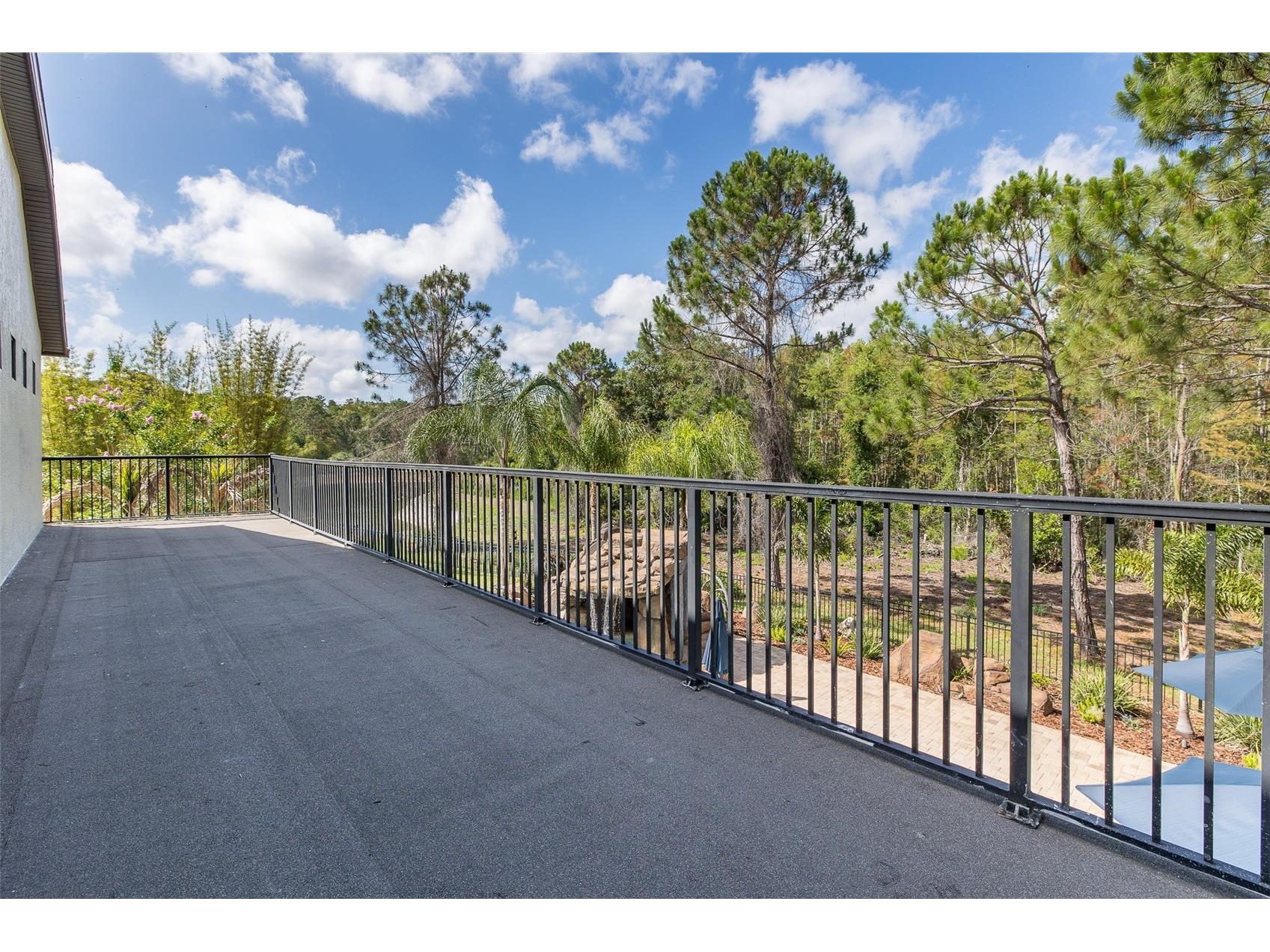 14810 Ninebark Court Land O Lakes FL 34638 W7885967 image46