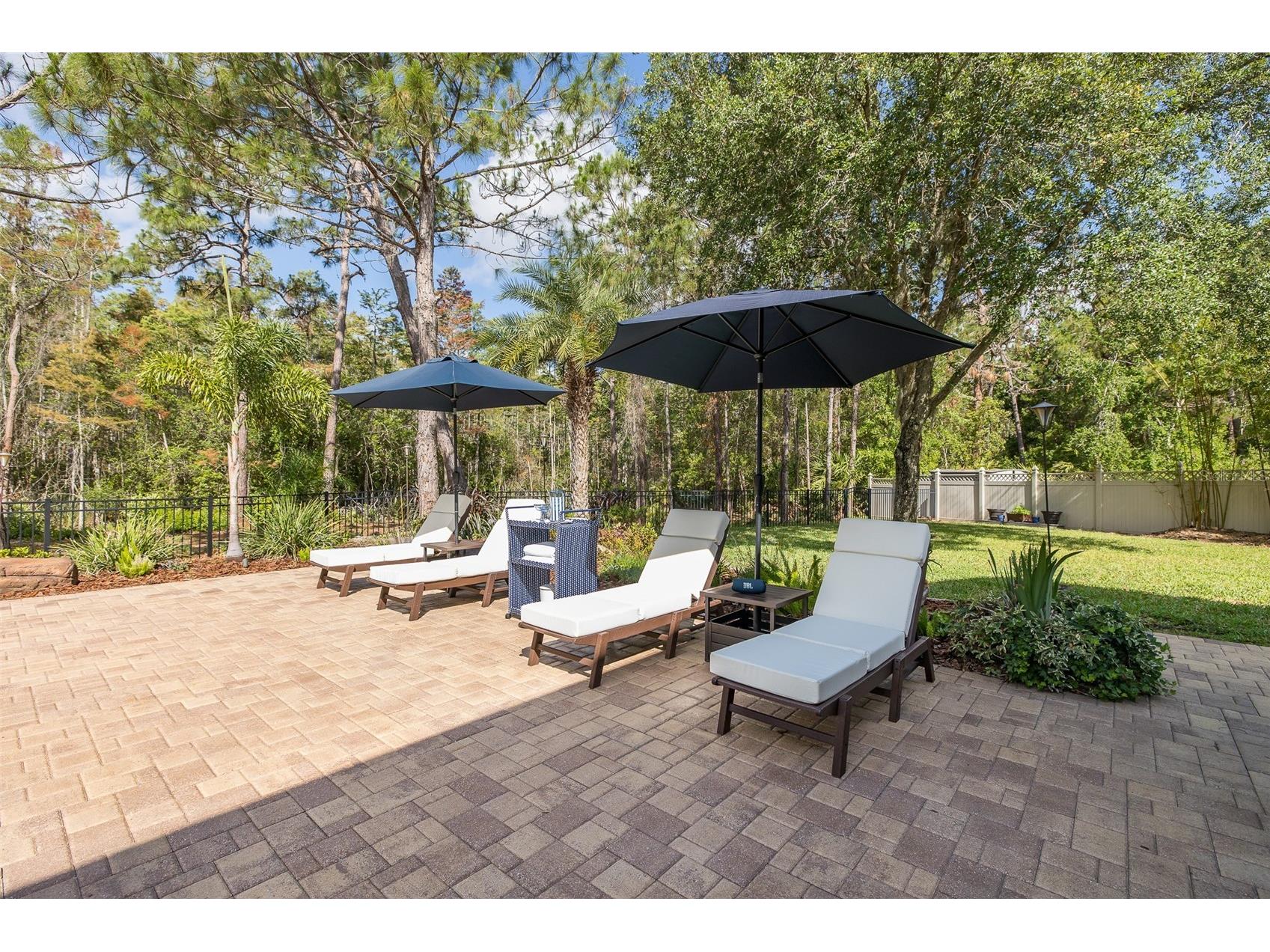 14810 Ninebark Court Land O Lakes FL 34638 W7885967 image54