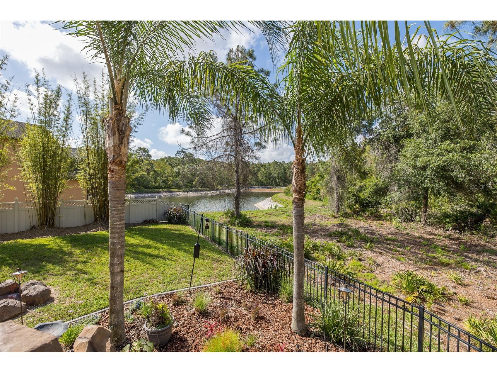 14810 Ninebark Court Land O Lakes FL 34638 W7885967 image56