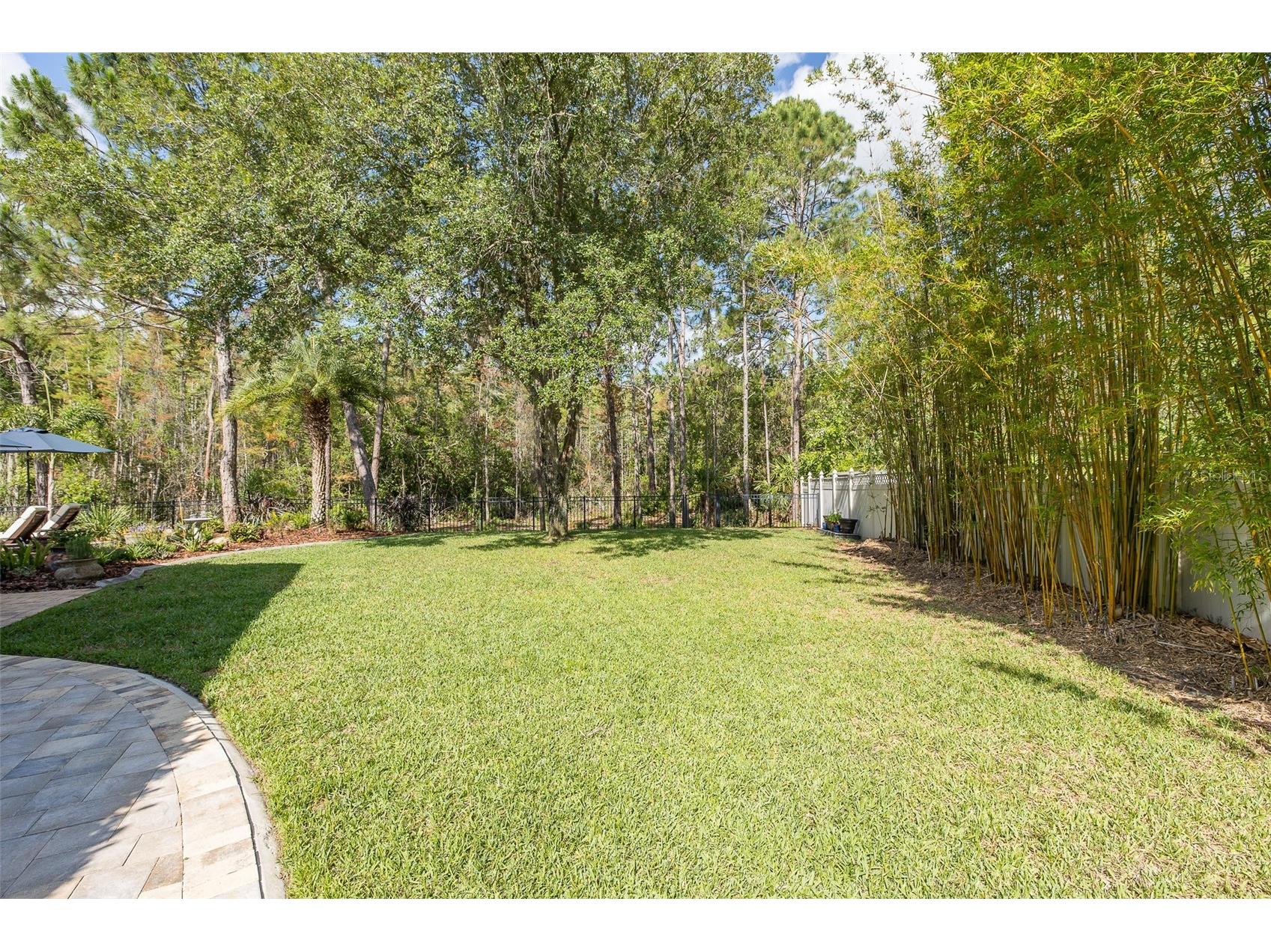 14810 Ninebark Court Land O Lakes FL 34638 W7885967 image58