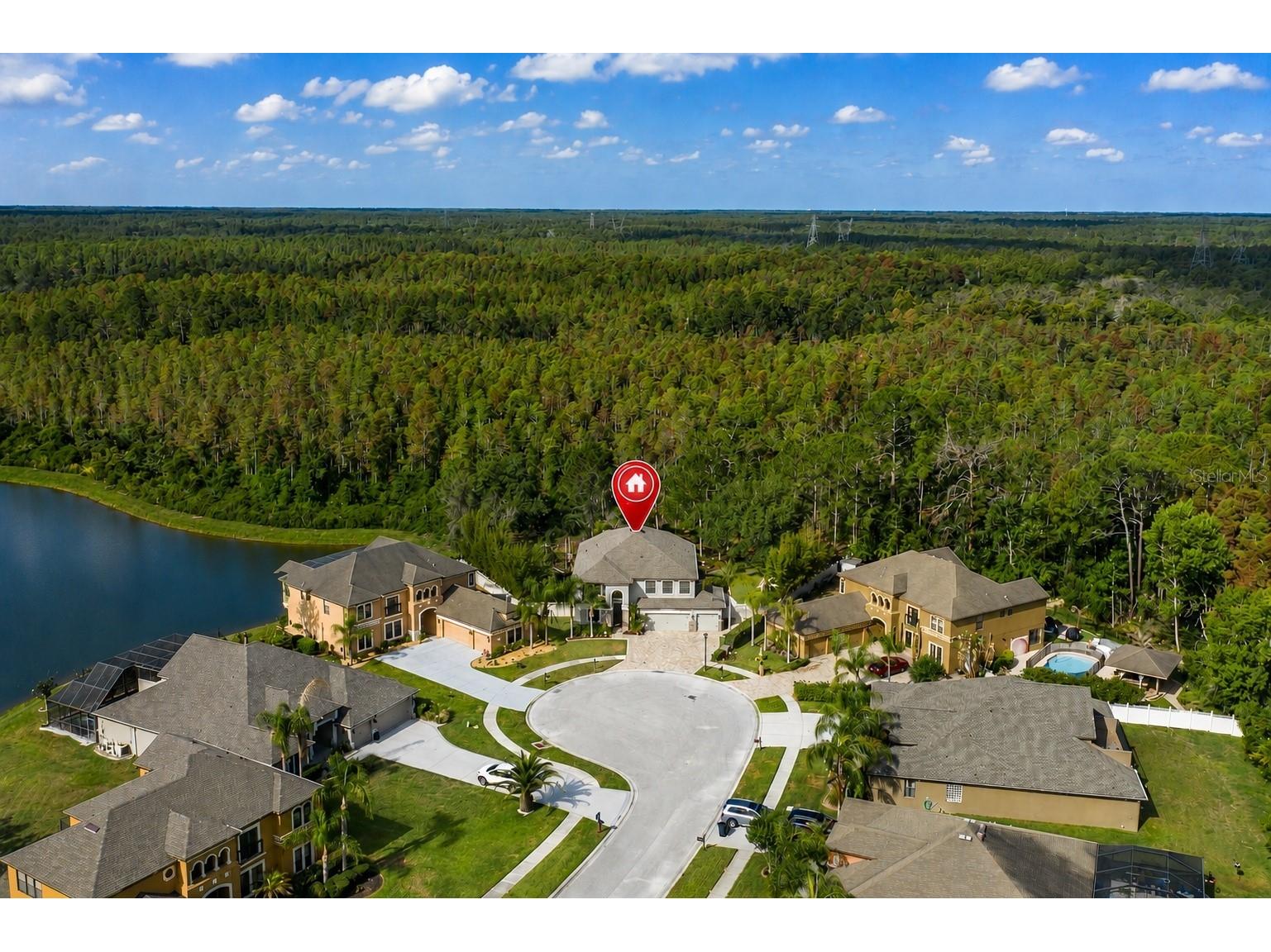 14810 Ninebark Court Land O Lakes FL 34638 W7885967 image61