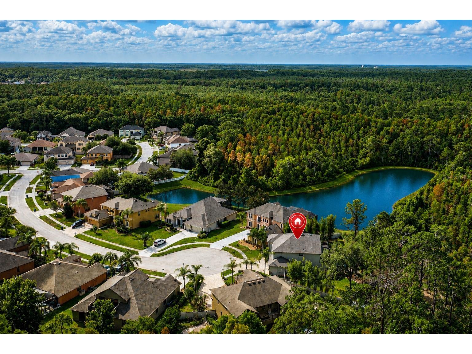 14810 Ninebark Court Land O Lakes FL 34638 W7885967 image62