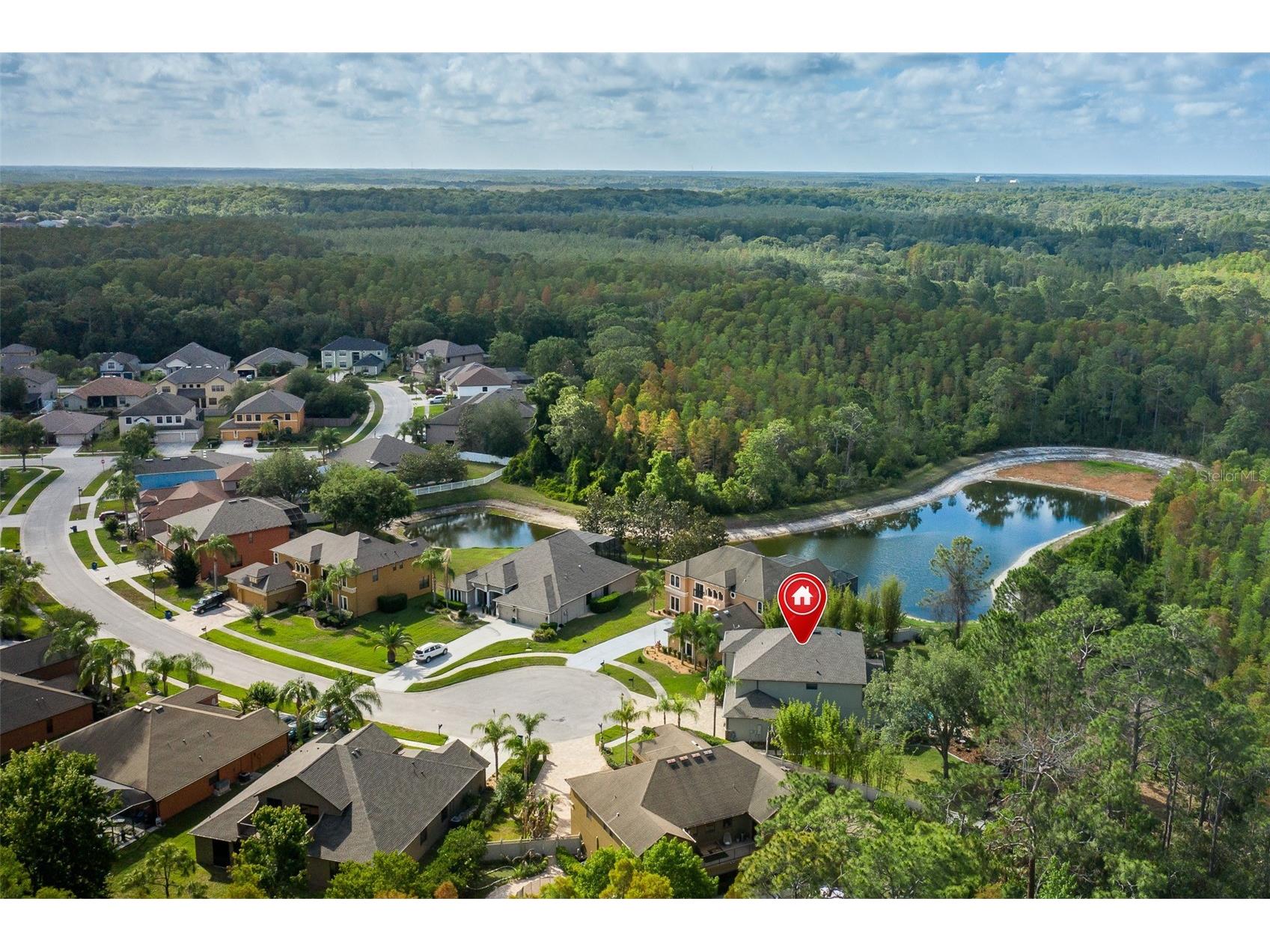 14810 Ninebark Court Land O Lakes FL 34638 W7885967 image64