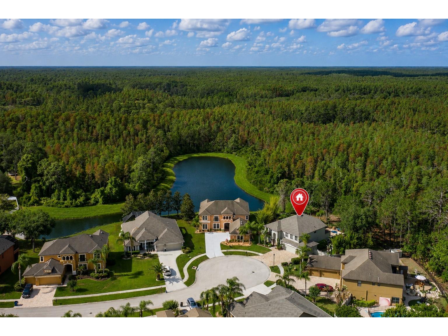 14810 Ninebark Court Land O Lakes FL 34638 W7885967 image65