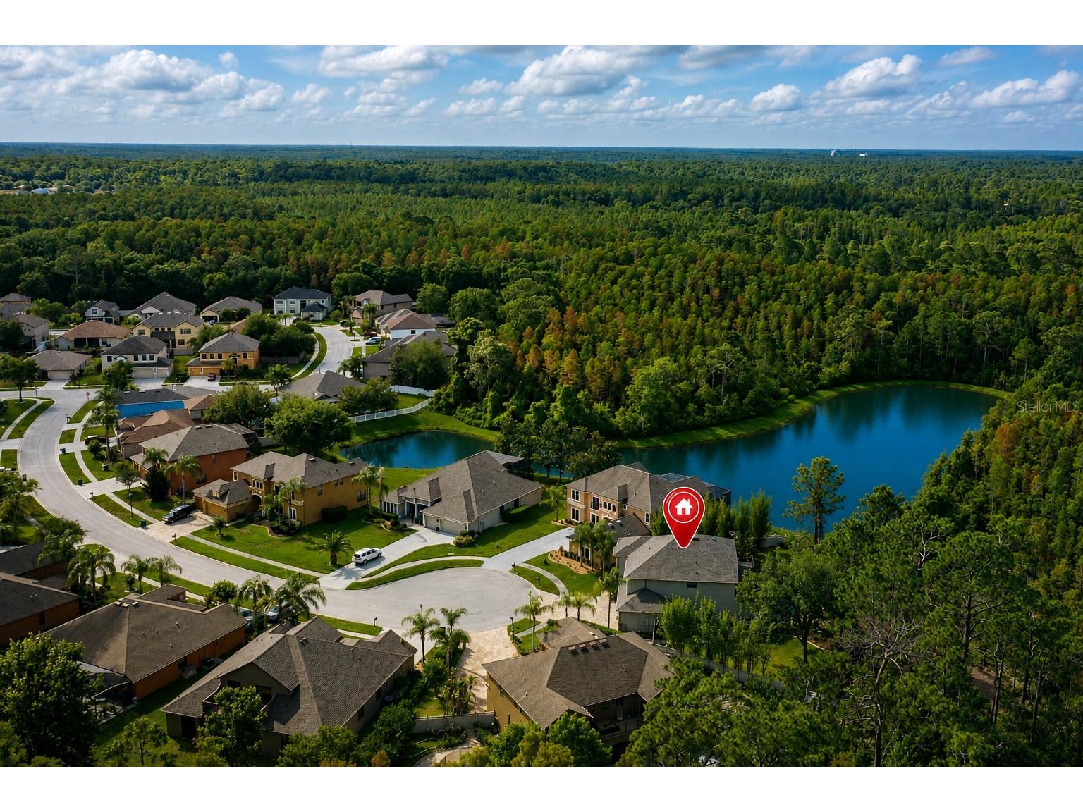 14810 Ninebark Court Land O Lakes FL 34638 W7885967 image66