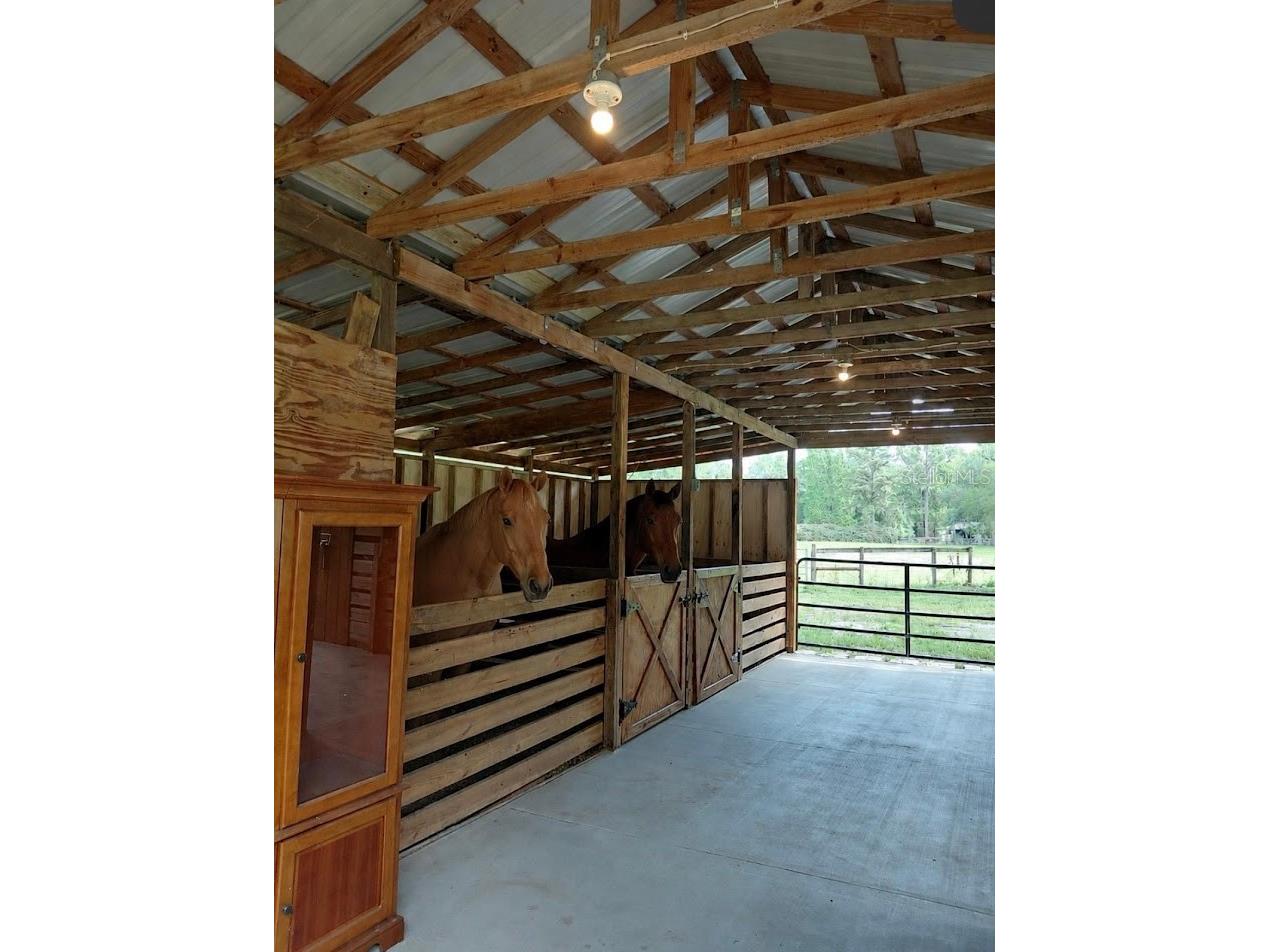 14810 NW 185 Street Williston FL 32696 OM726746 image3