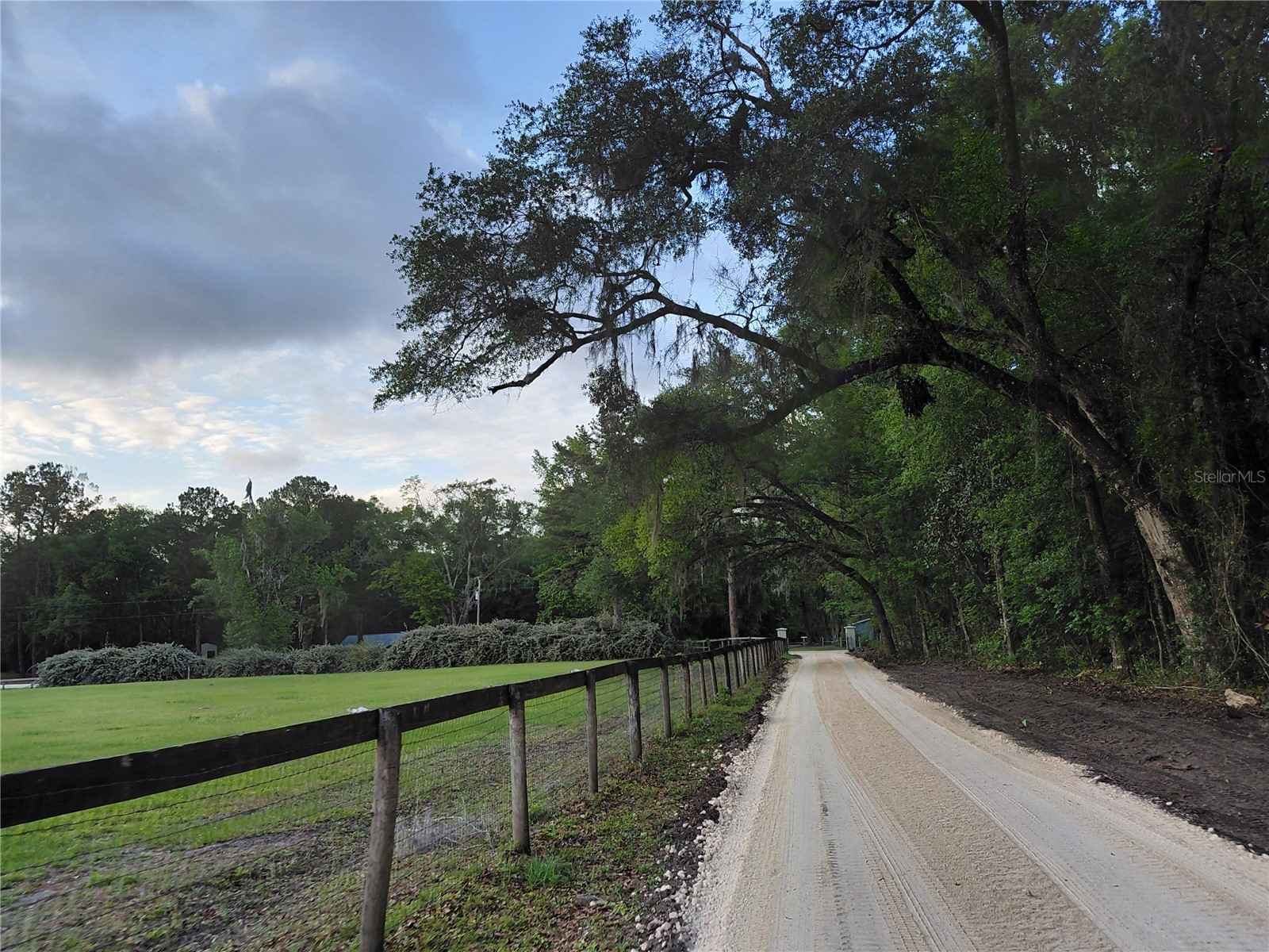 14810 NW 185 Street Williston FL 32696 OM726746 image61