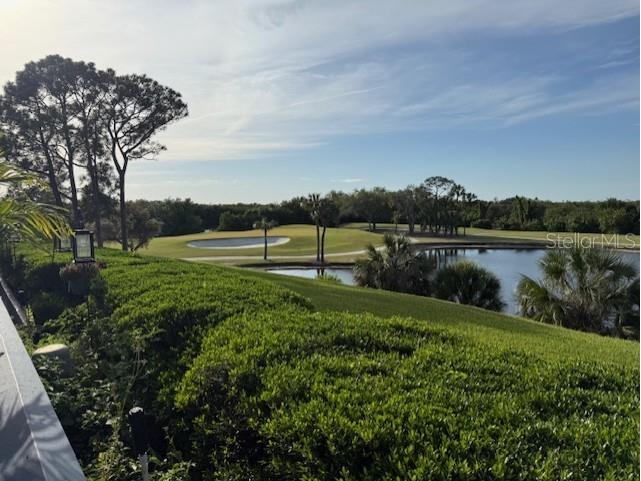 14810 Rue De Bayonne #2F Clearwater FL 33762 TB8503694 image13