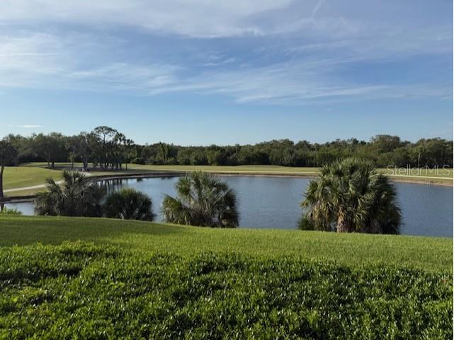 14810 Rue De Bayonne #2F Clearwater FL 33762 TB8503694 image14