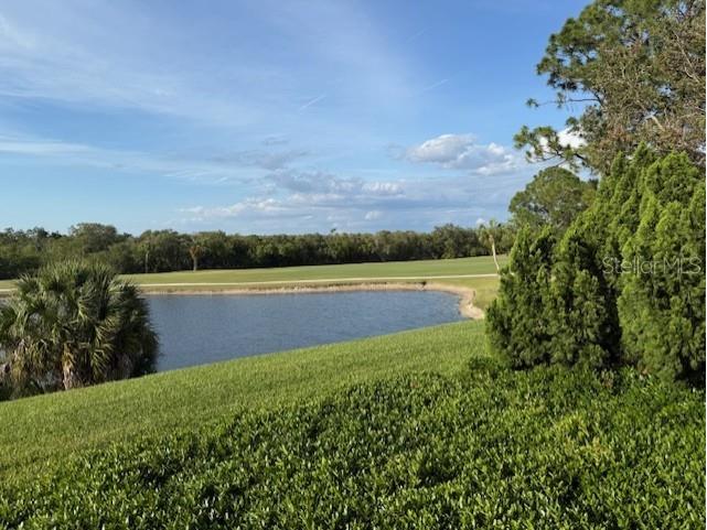 14810 Rue De Bayonne #2F Clearwater FL 33762 TB8503694 image15
