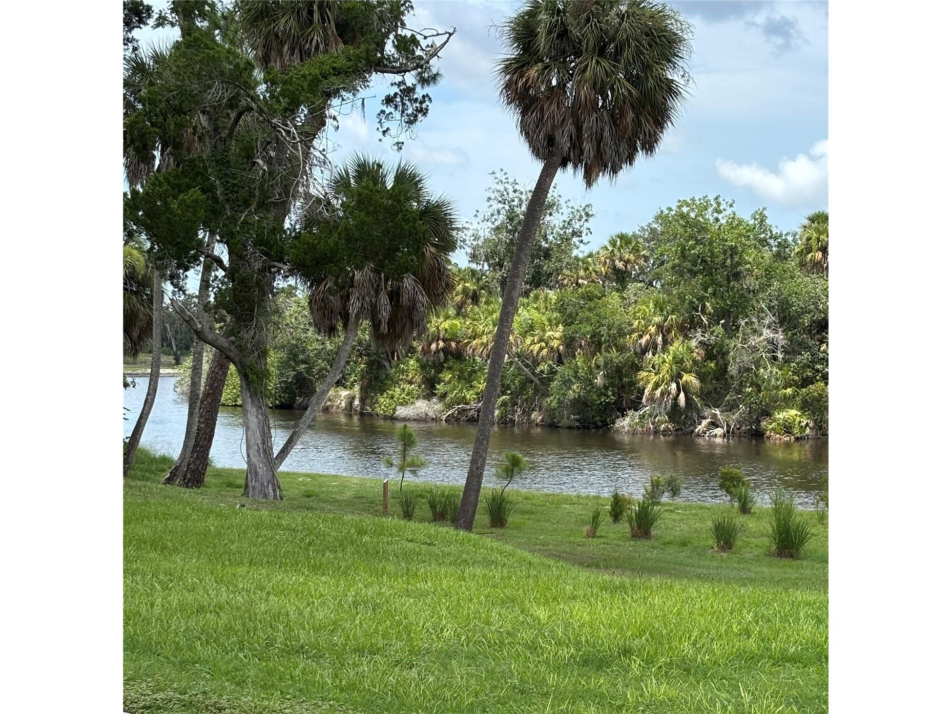 14814 Sora Way Bradenton FL 34212 A4698929 image31