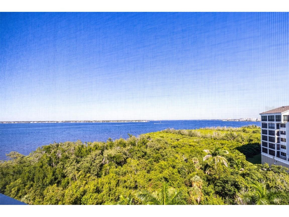 14815 Laguna Drive #702 Fort Myers FL 33908 - CALOOSHATCHEE RIVER C7519899 image44