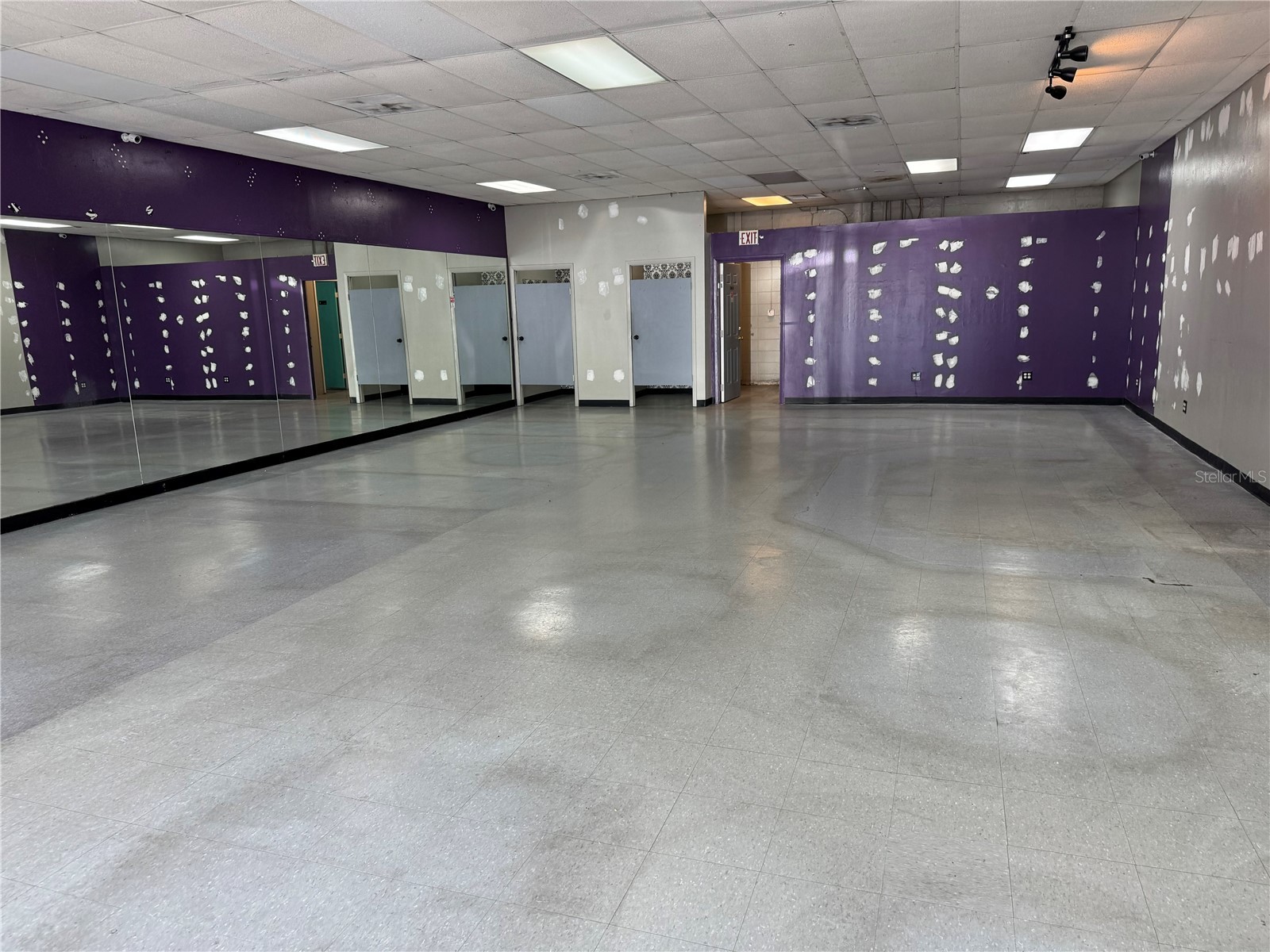 14815 N Florida Avenue #14815 Tampa FL 33613 TB8505777 image2
