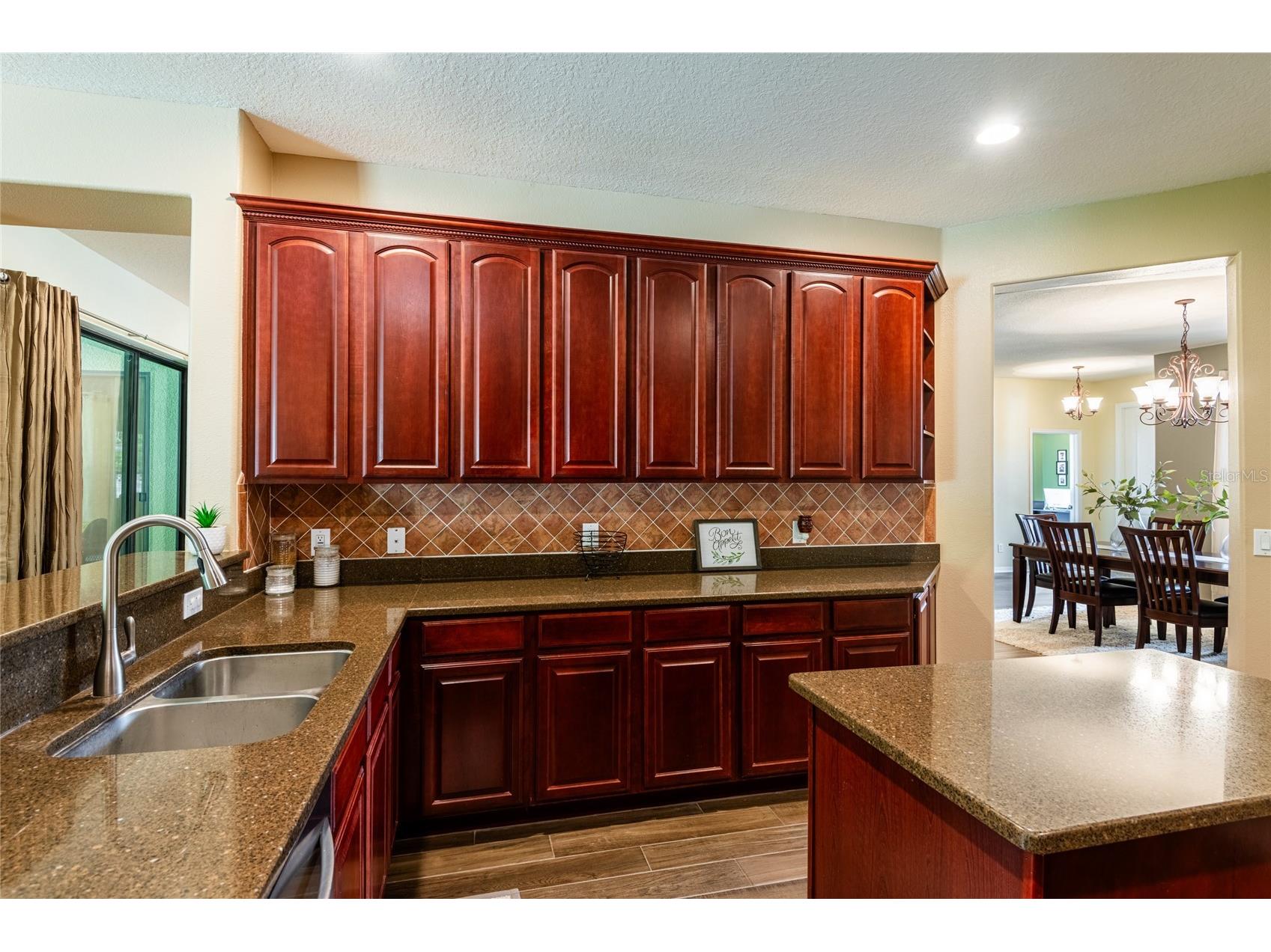 14815 Ninebark Court Land O Lakes FL 34638 TB8526040 image24
