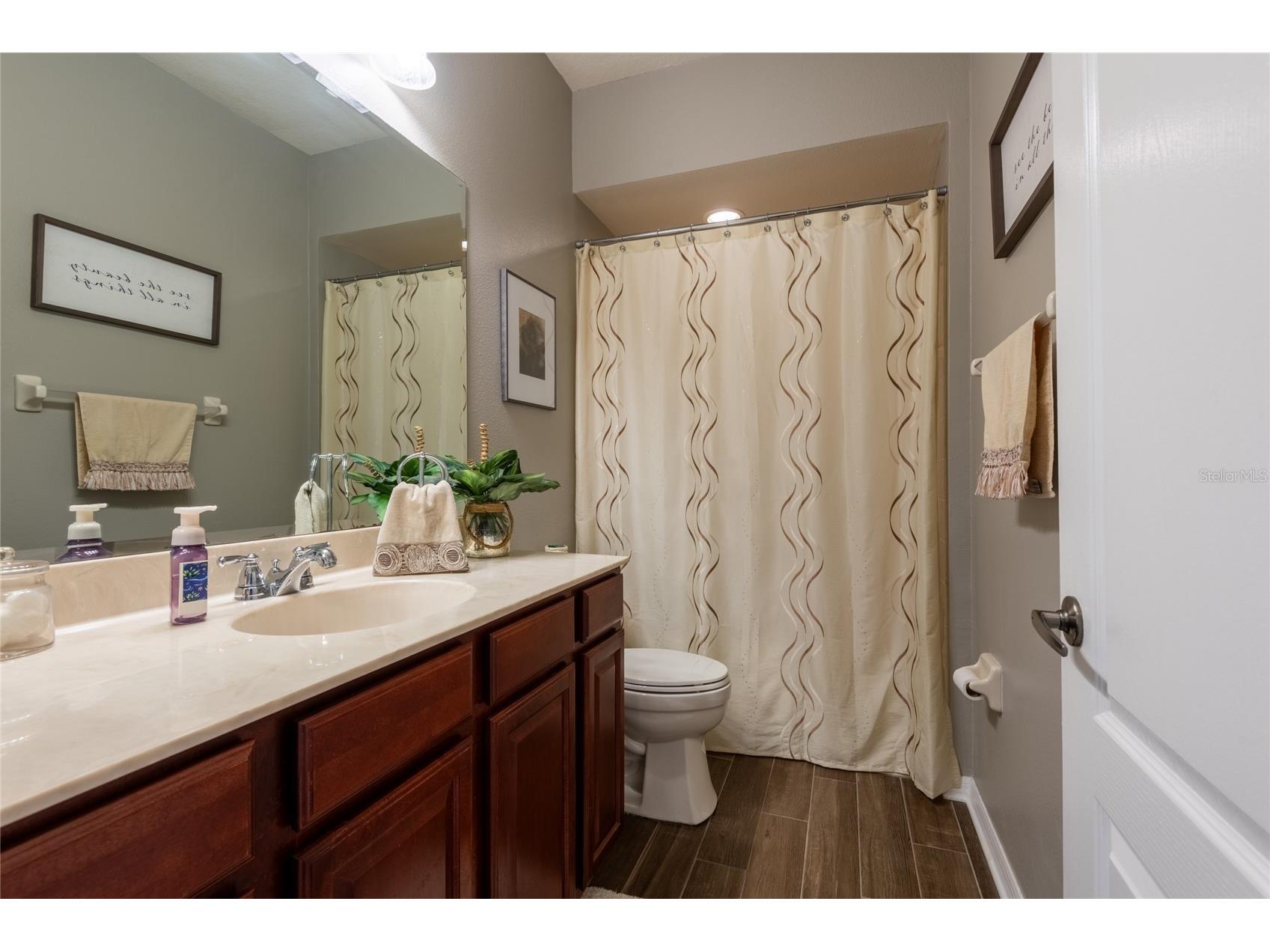 14815 Ninebark Court Land O Lakes FL 34638 TB8526040 image40