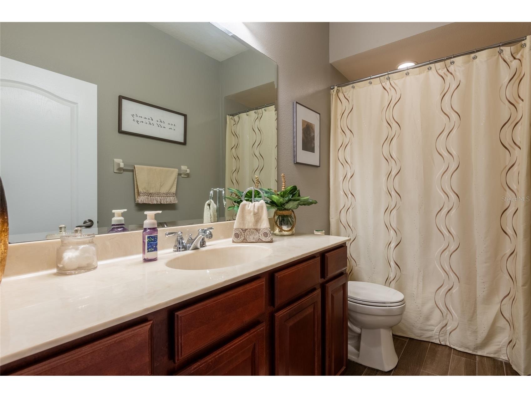 14815 Ninebark Court Land O Lakes FL 34638 TB8526040 image41