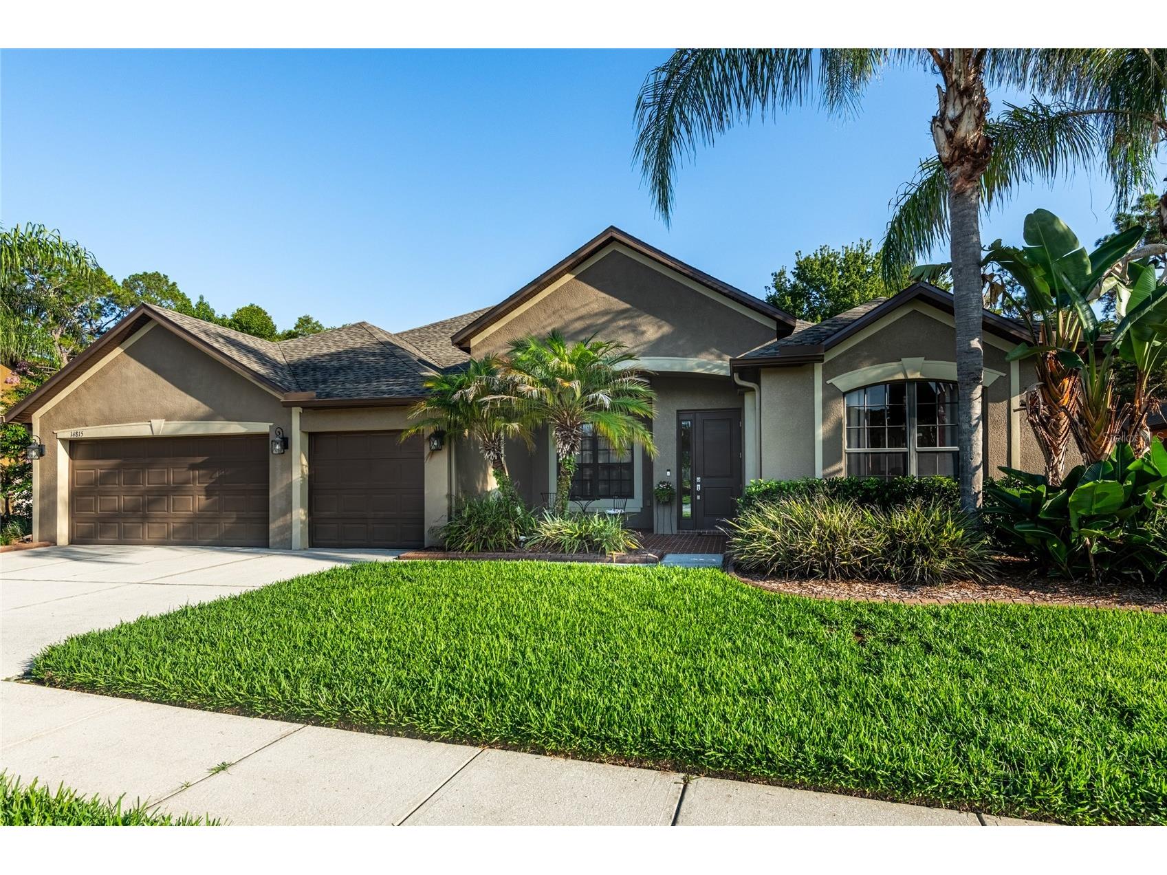14815 Ninebark Court Land O Lakes FL 34638 TB8526040 image5