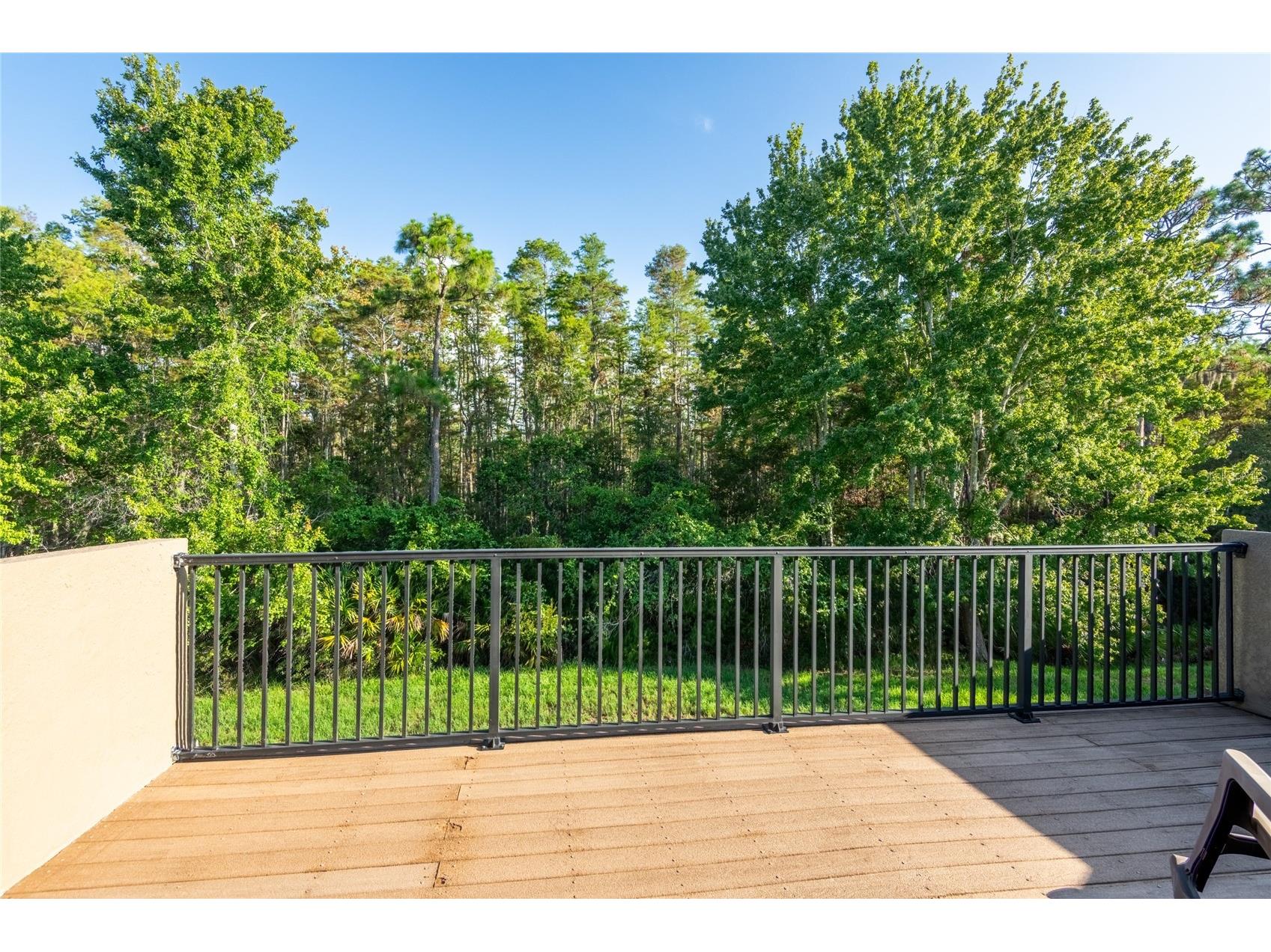 14815 Ninebark Court Land O Lakes FL 34638 TB8526040 image54