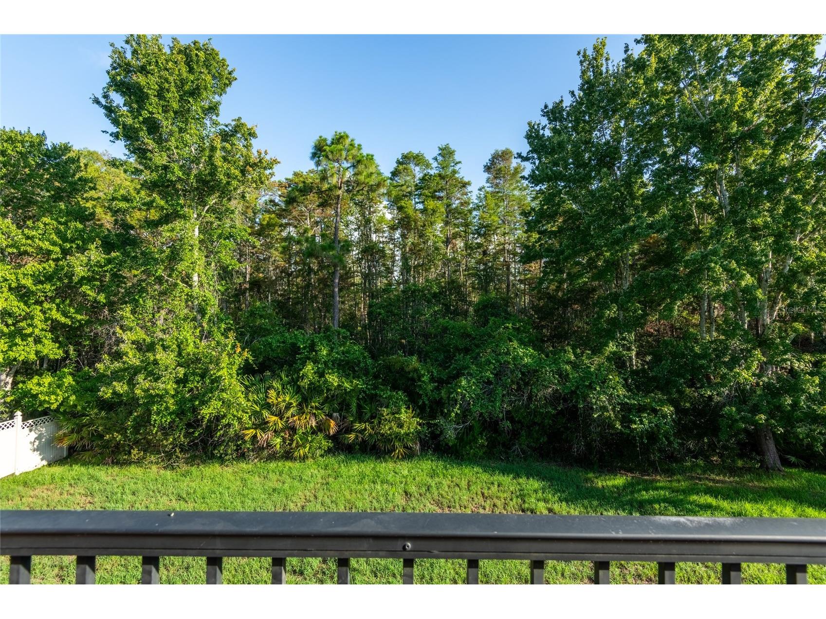 14815 Ninebark Court Land O Lakes FL 34638 TB8526040 image56