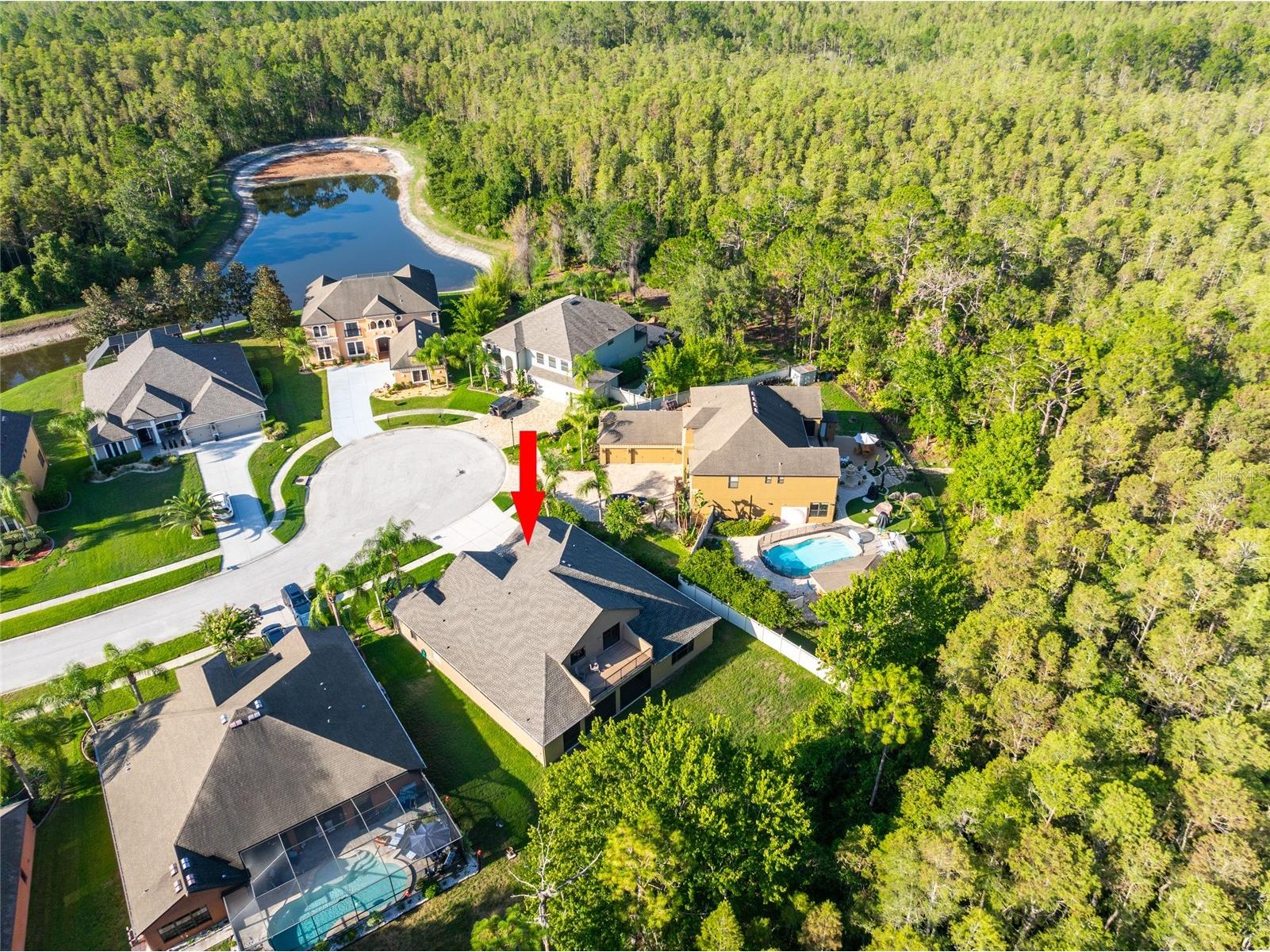 14815 Ninebark Court Land O Lakes FL 34638 TB8526040 image58