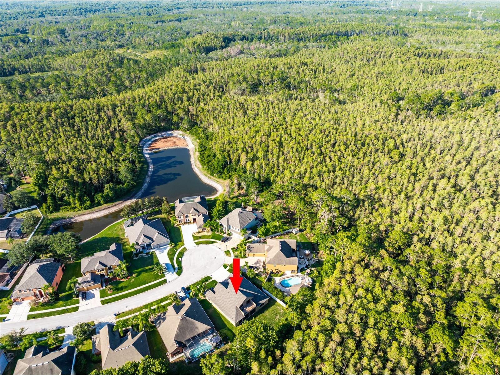 14815 Ninebark Court Land O Lakes FL 34638 TB8526040 image59