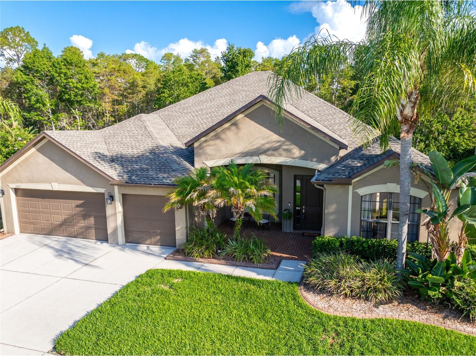 14815 Ninebark Court Land O Lakes FL 34638 TB8526040 image6