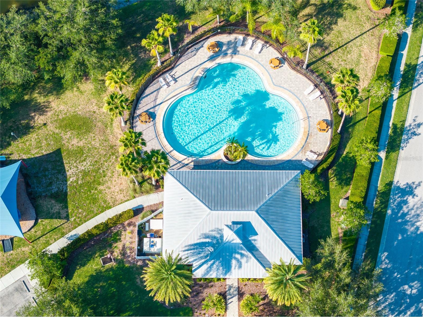 14815 Ninebark Court Land O Lakes FL 34638 TB8526040 image66