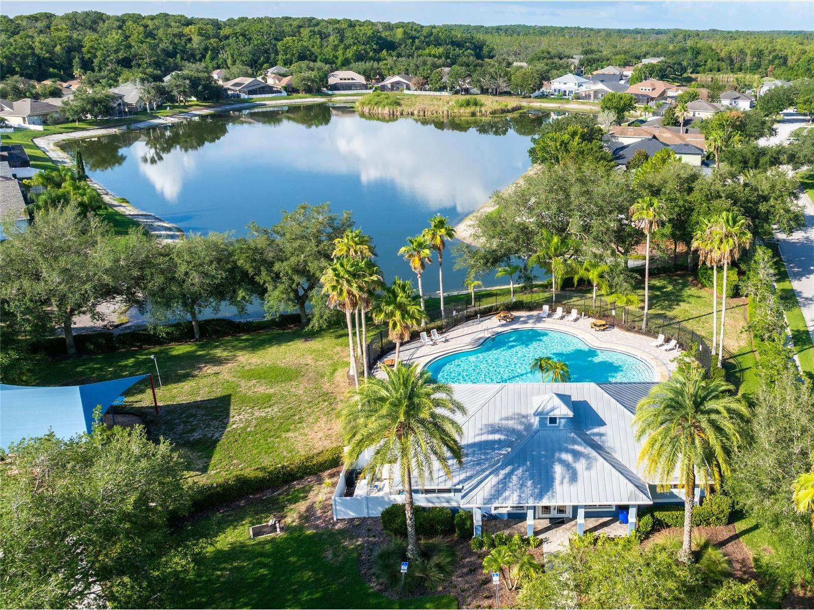 14815 Ninebark Court Land O Lakes FL 34638 TB8526040 image68