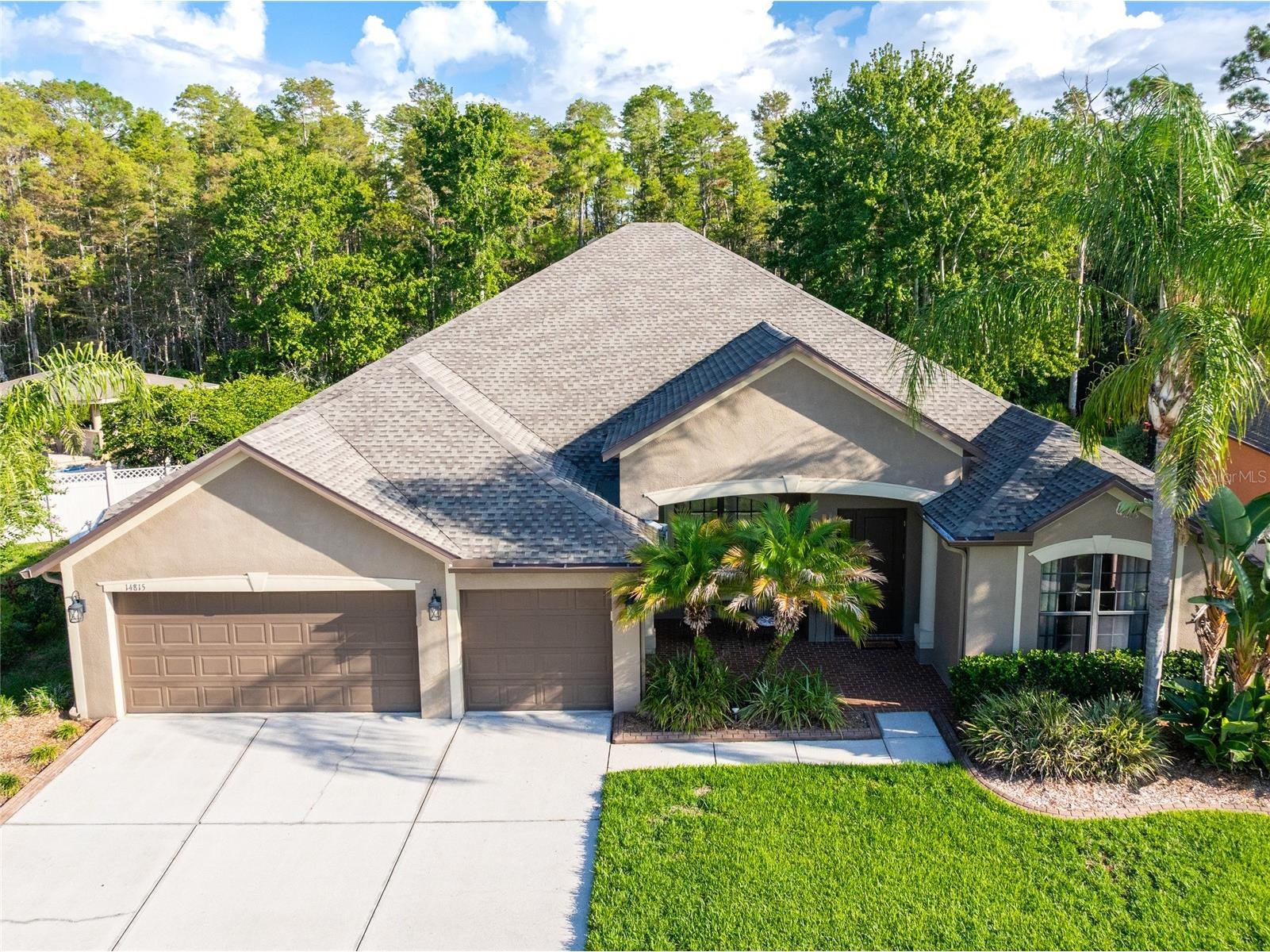 14815 Ninebark Court Land O Lakes FL 34638 TB8526040 image7