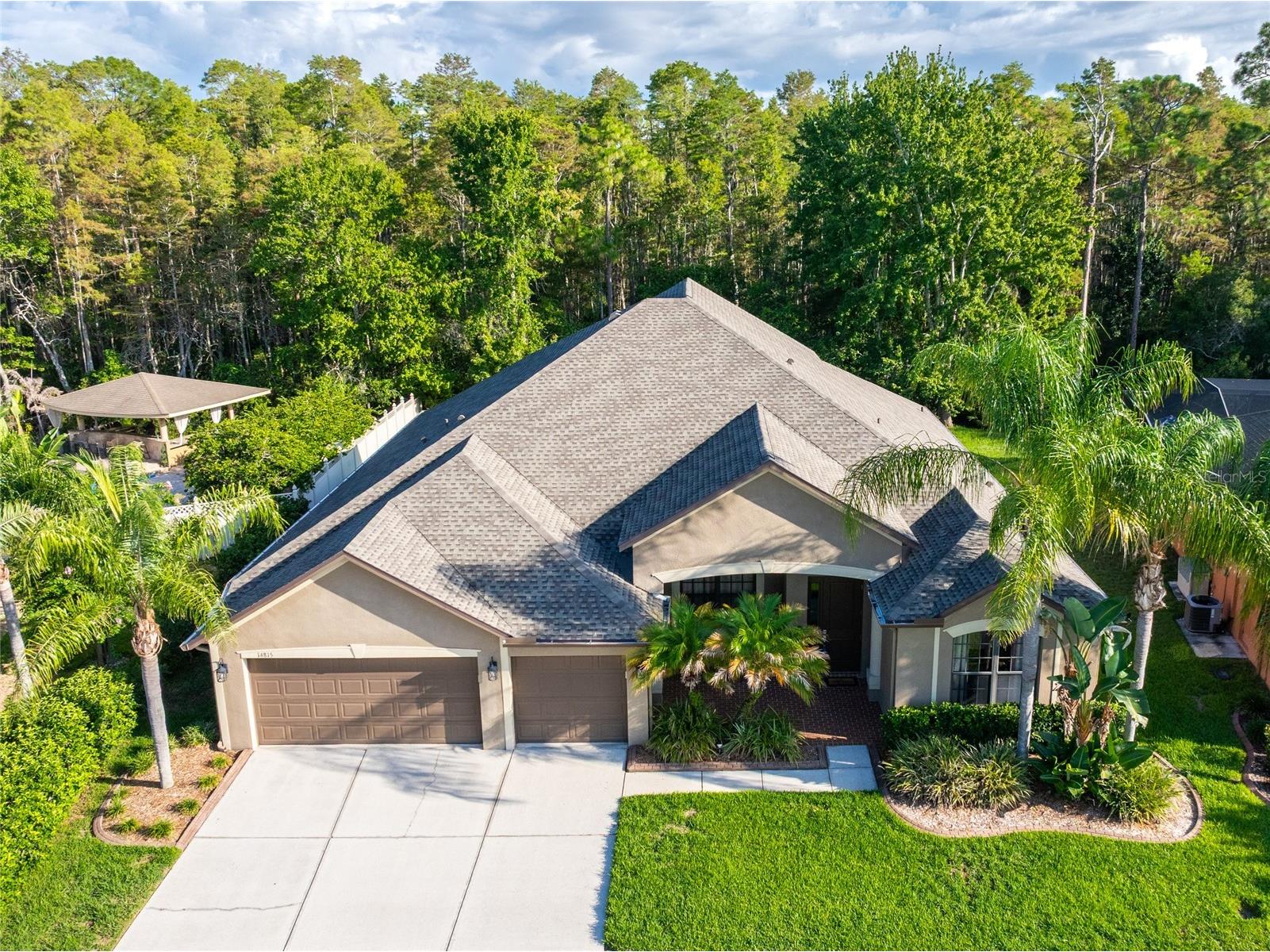 14815 Ninebark Court Land O Lakes FL 34638 TB8526040 image8